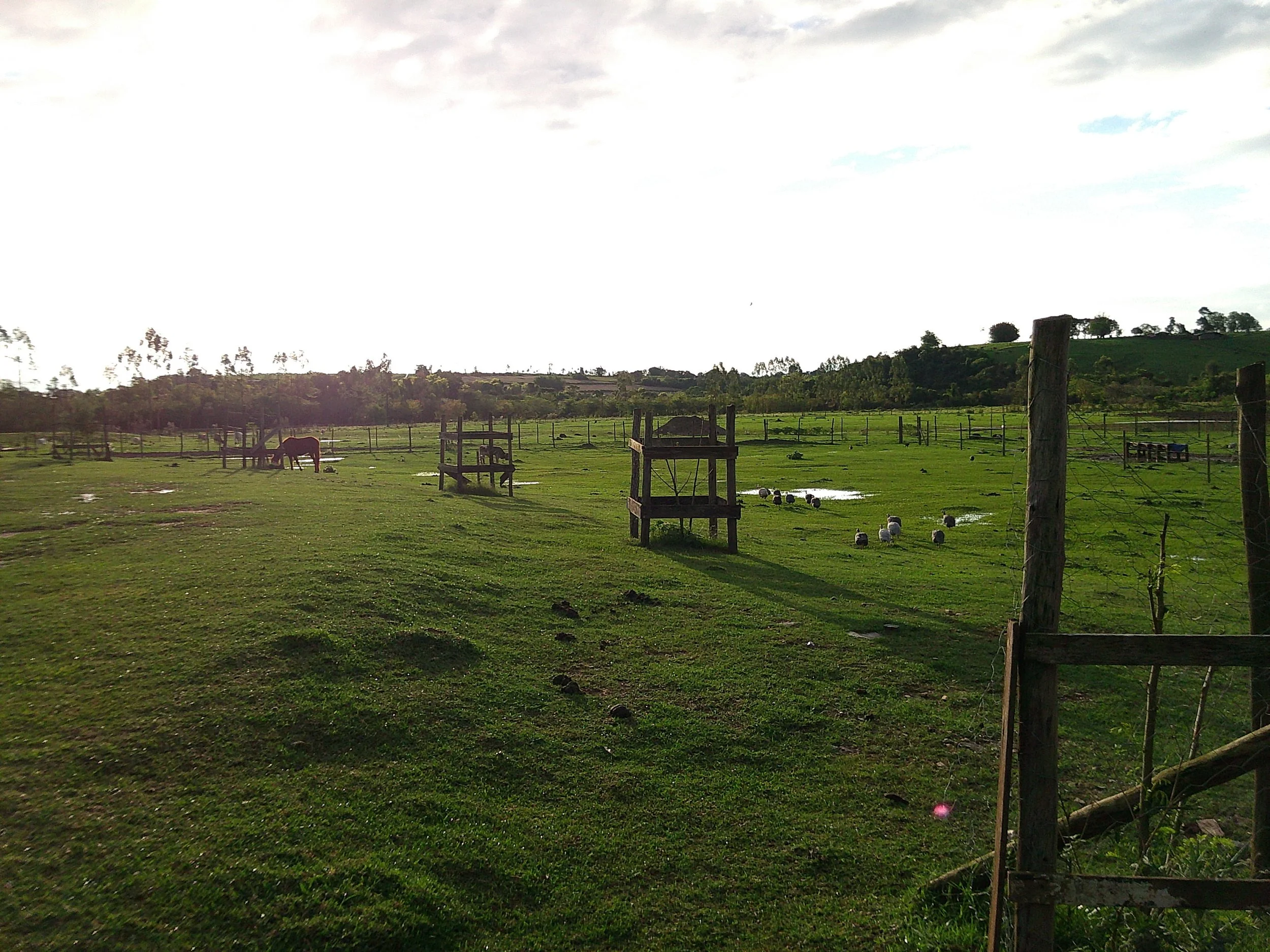 DSCF0251.JPG