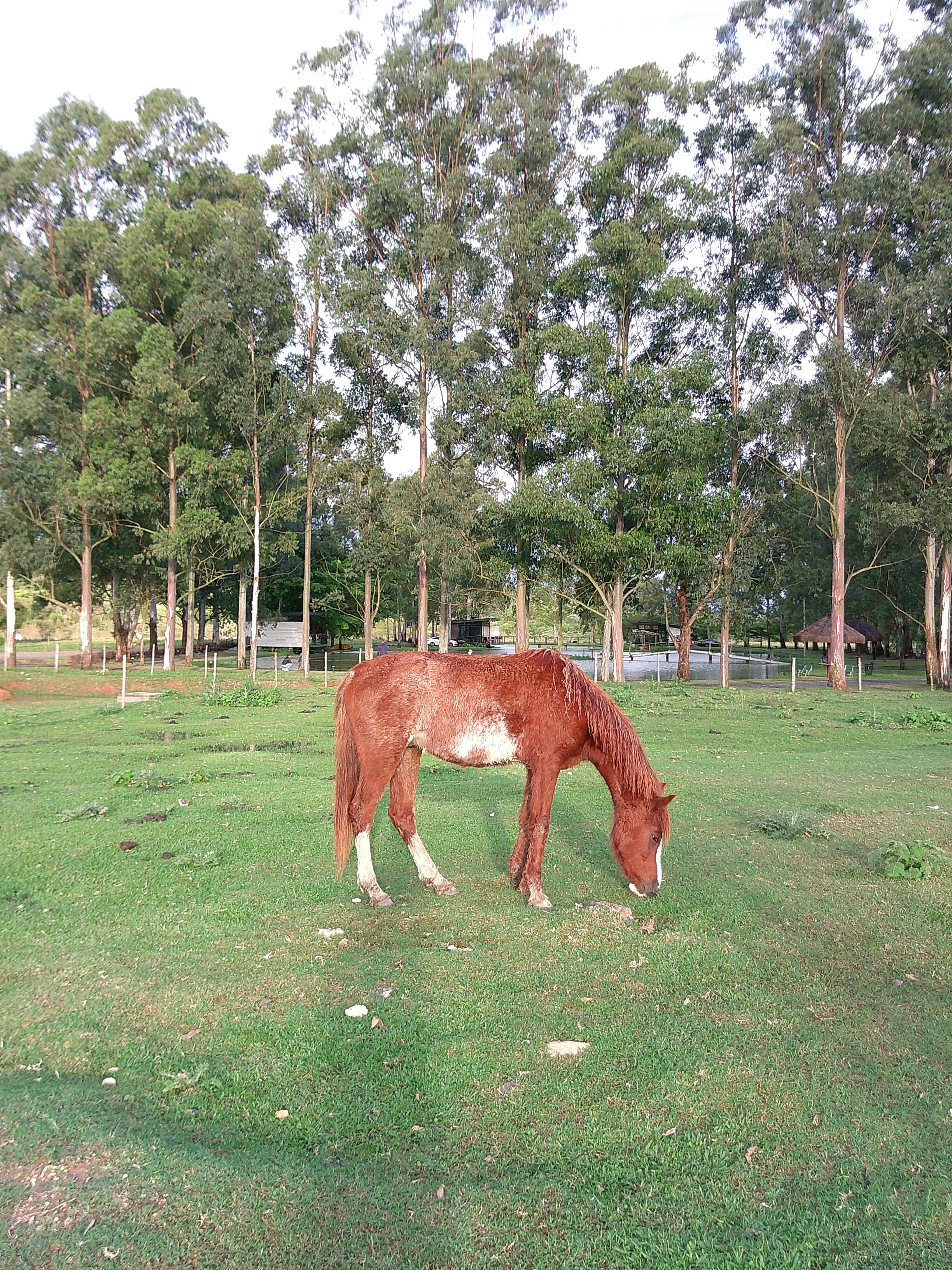 DSCF0253.JPG