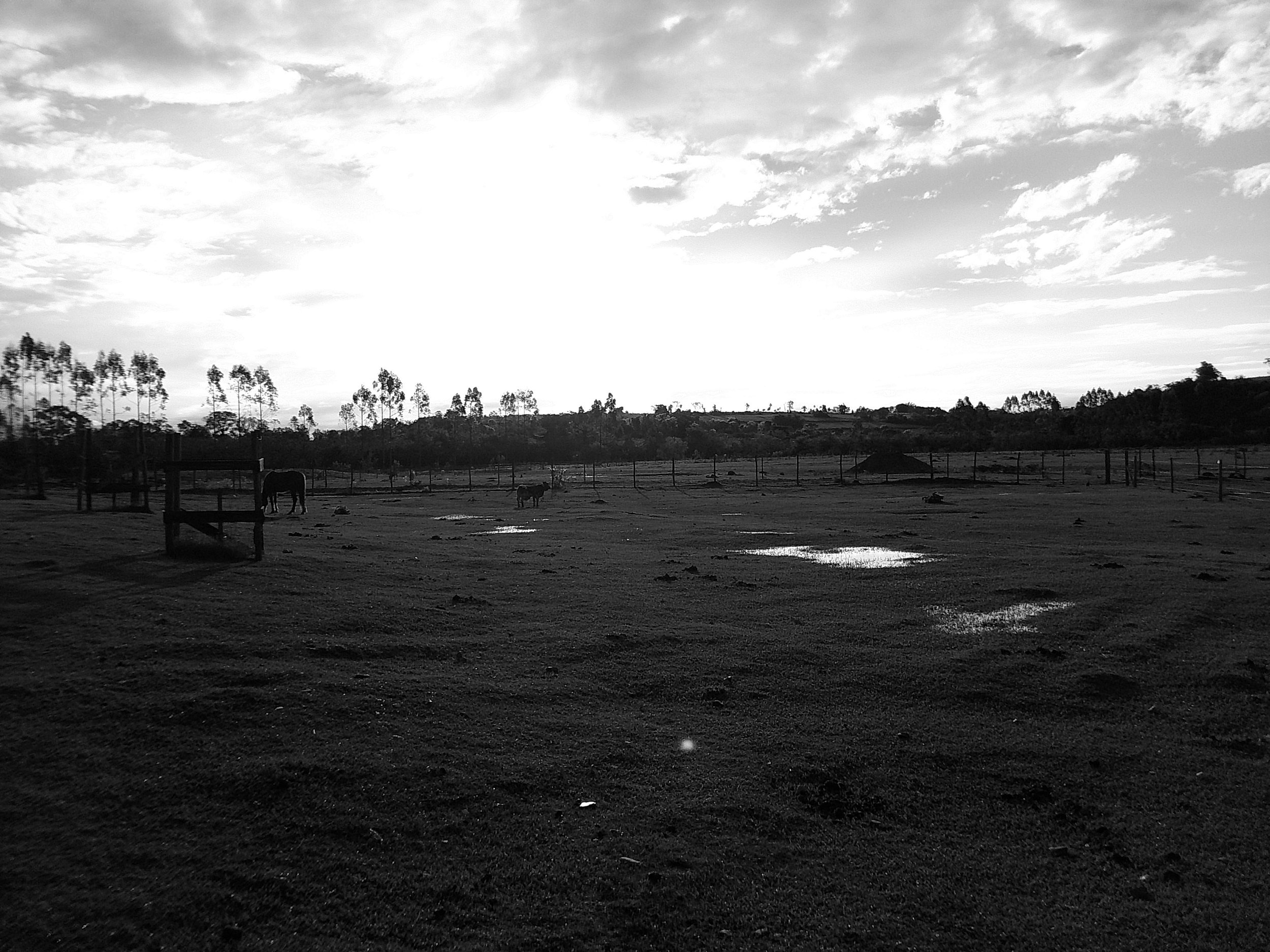 DSCF0256.JPG