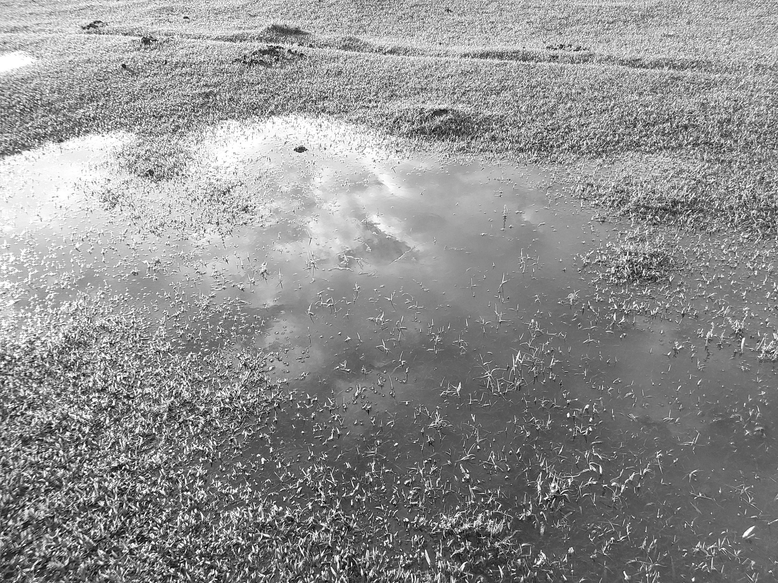 DSCF0257.JPG