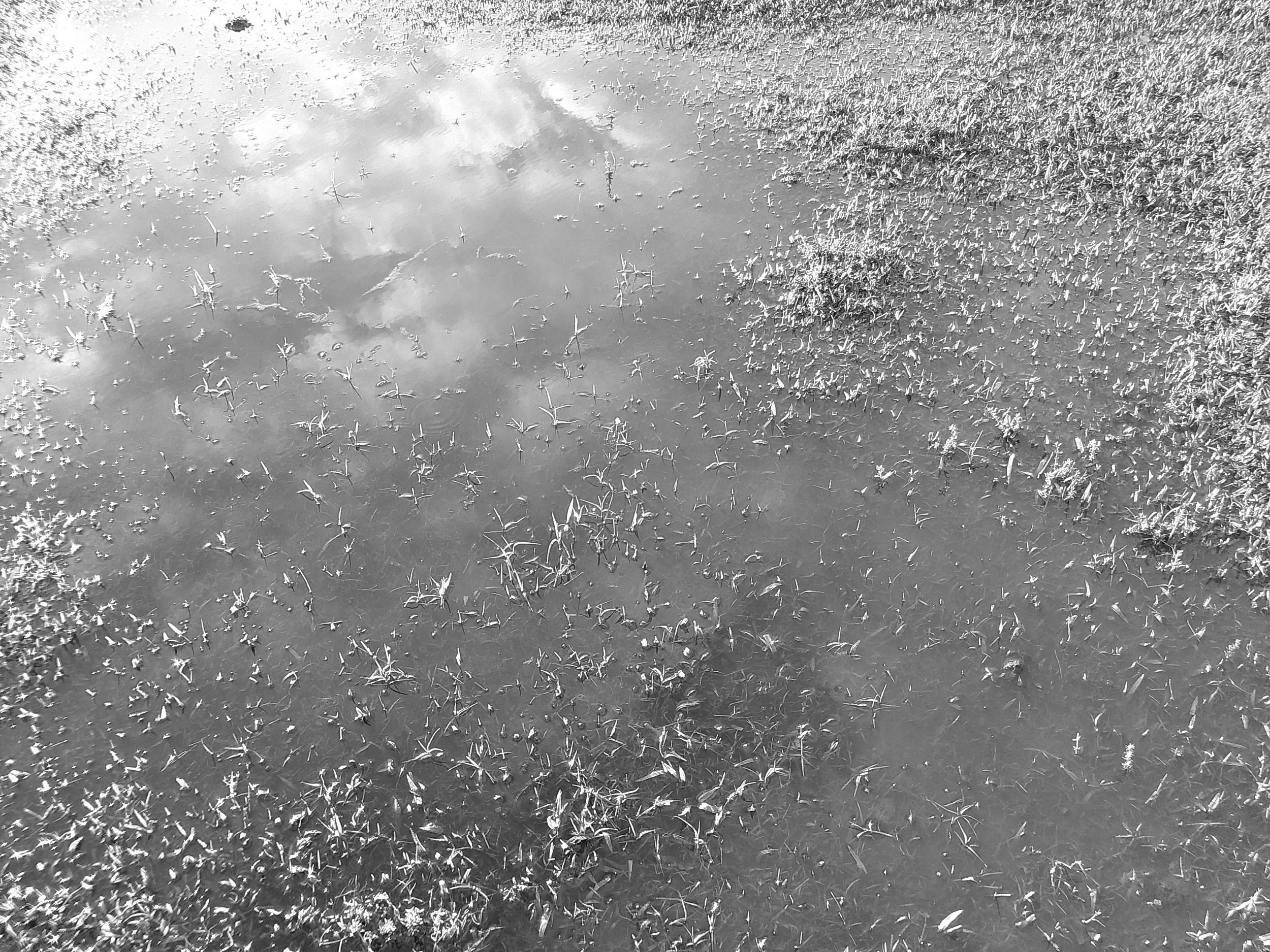 DSCF0258.JPG