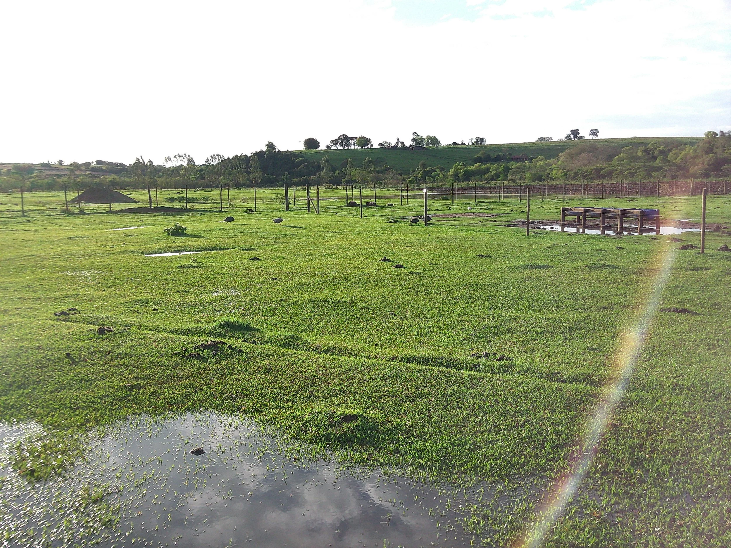 DSCF0259.JPG