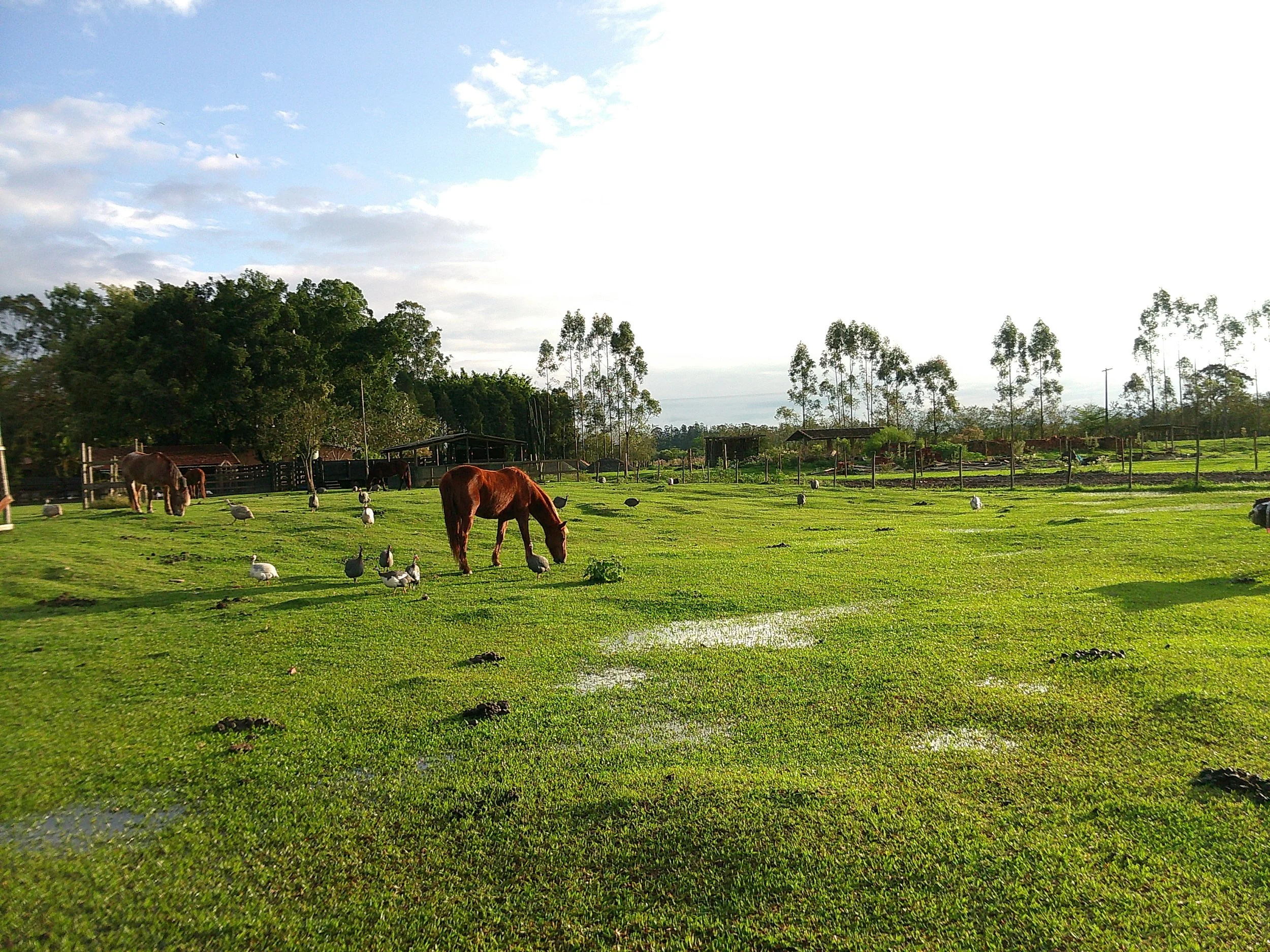 DSCF0261.JPG
