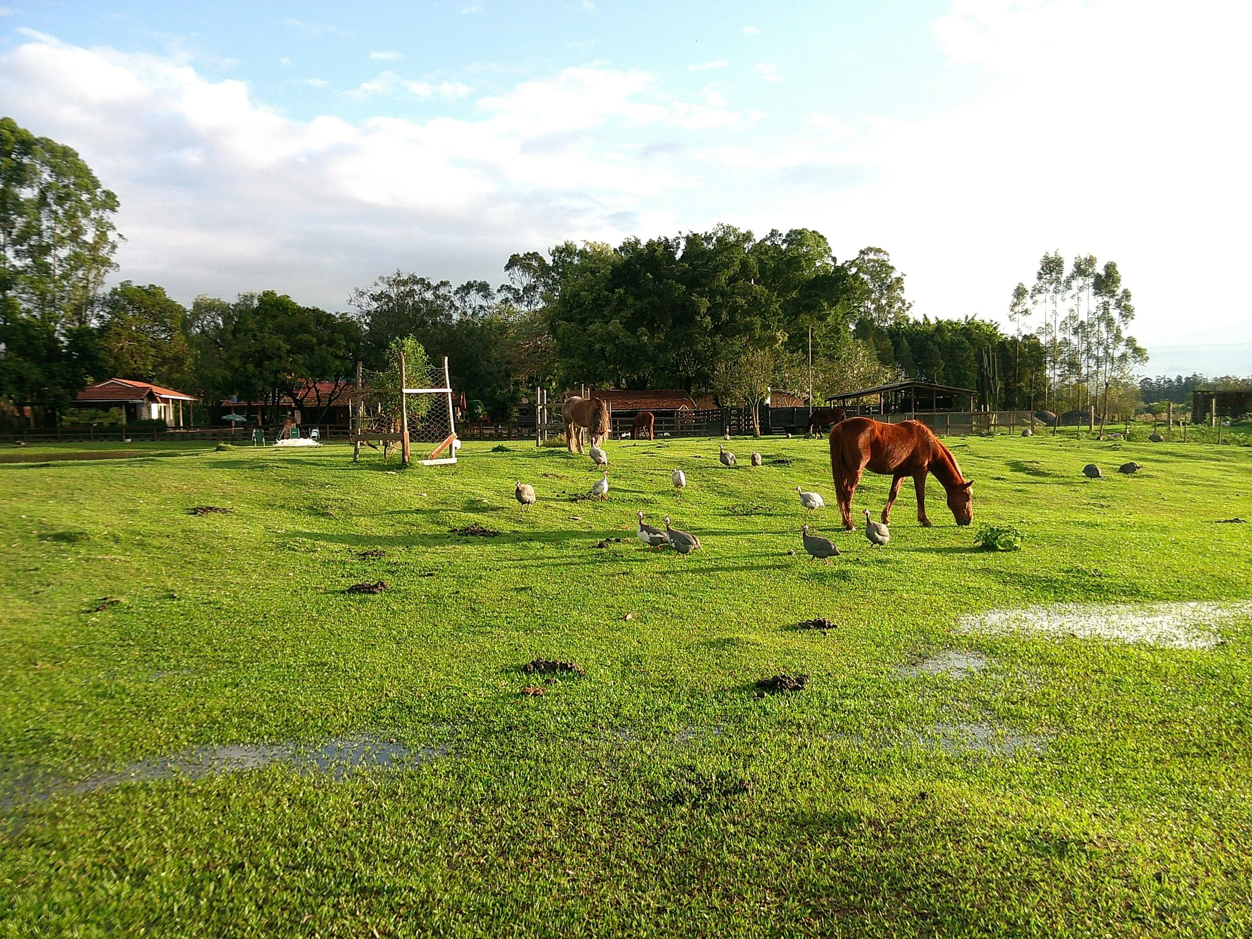 DSCF0262.JPG