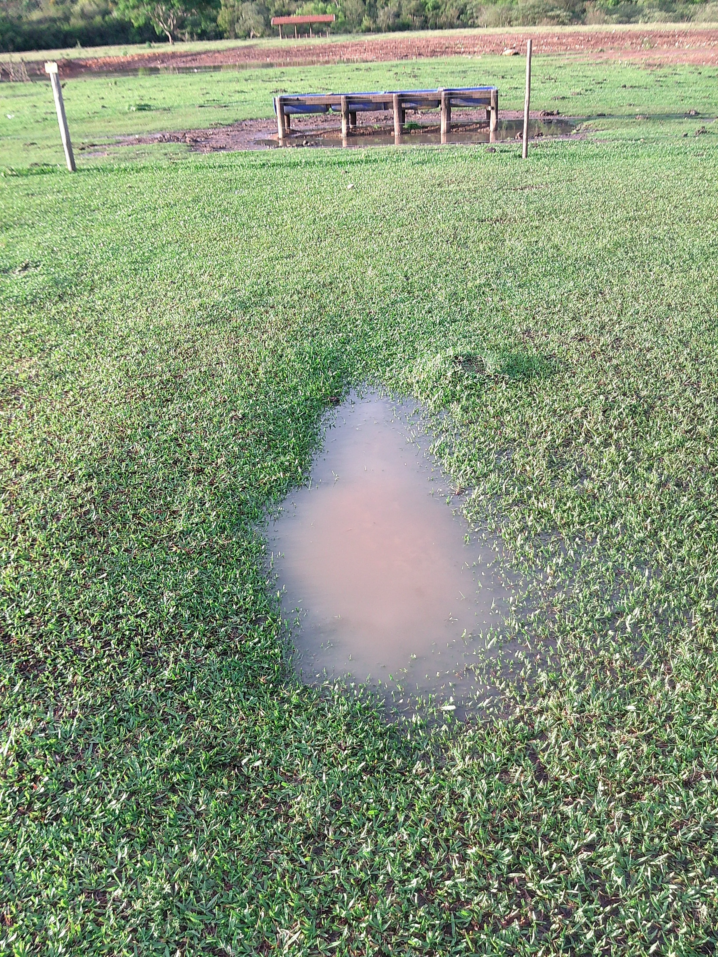 DSCF0263.JPG
