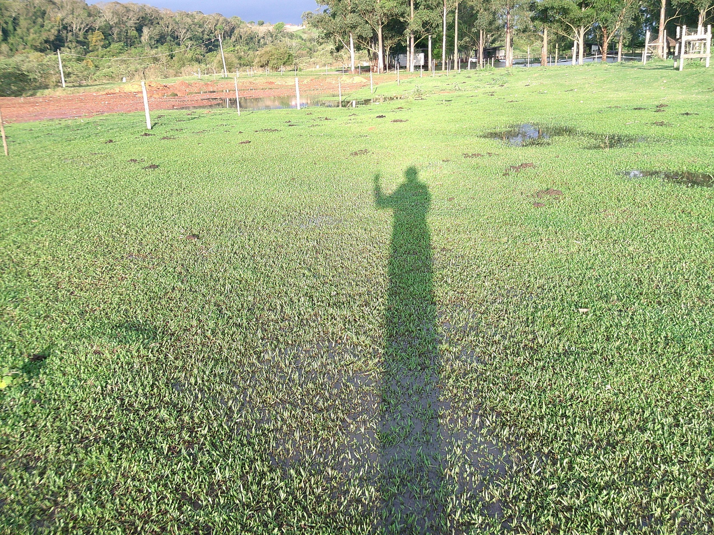 DSCF0264.JPG
