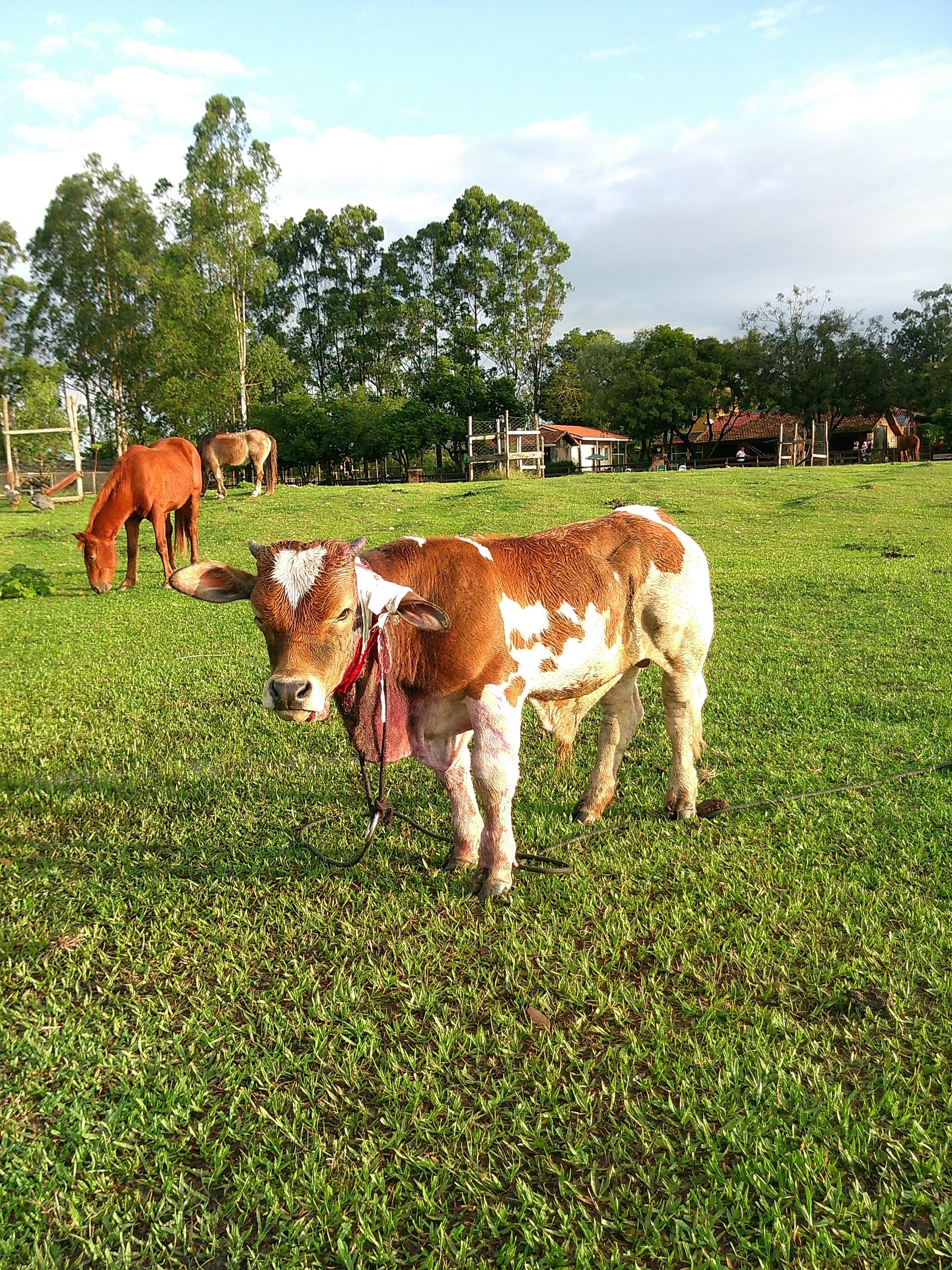 DSCF0269.JPG