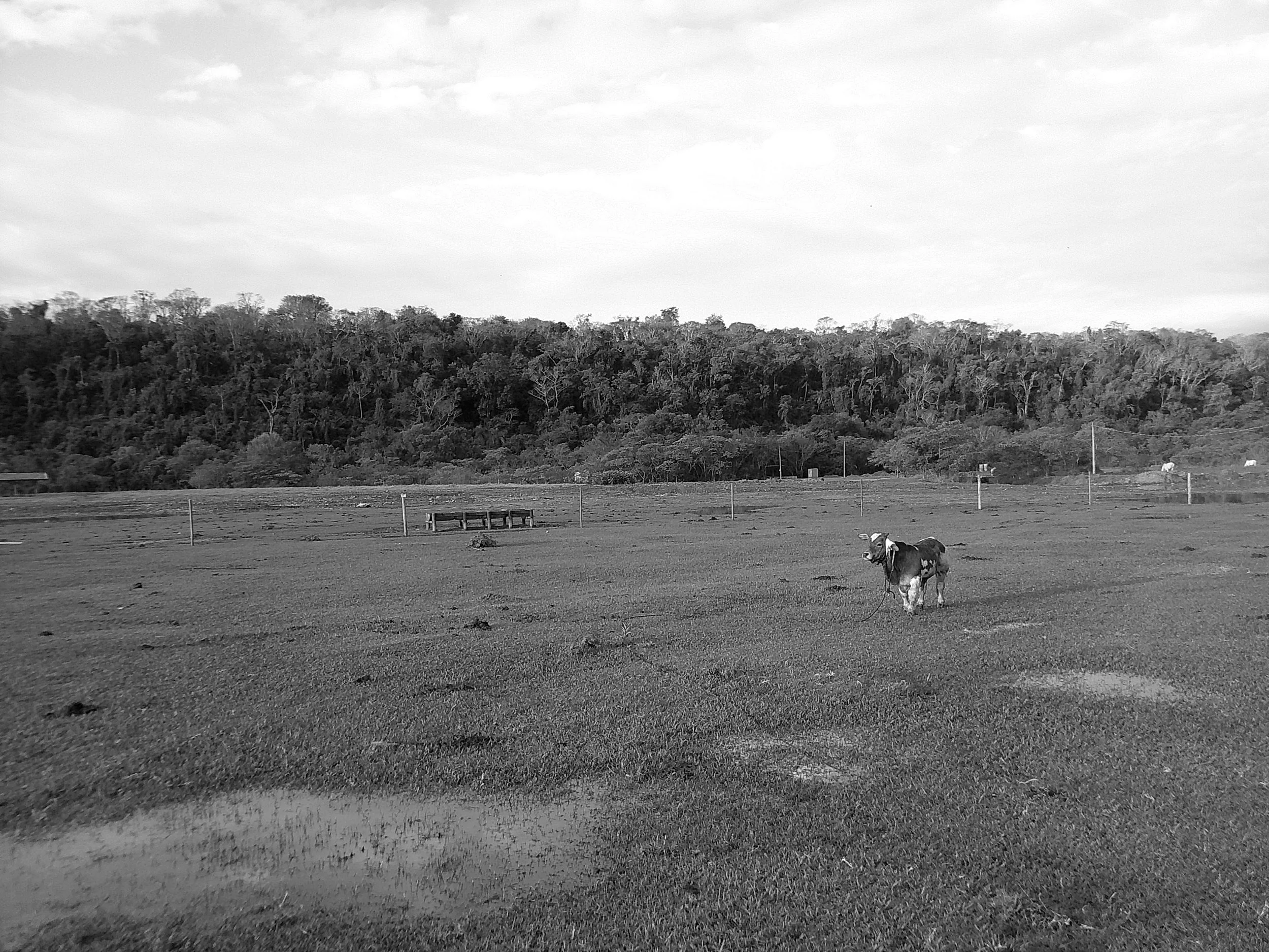 DSCF0275.JPG