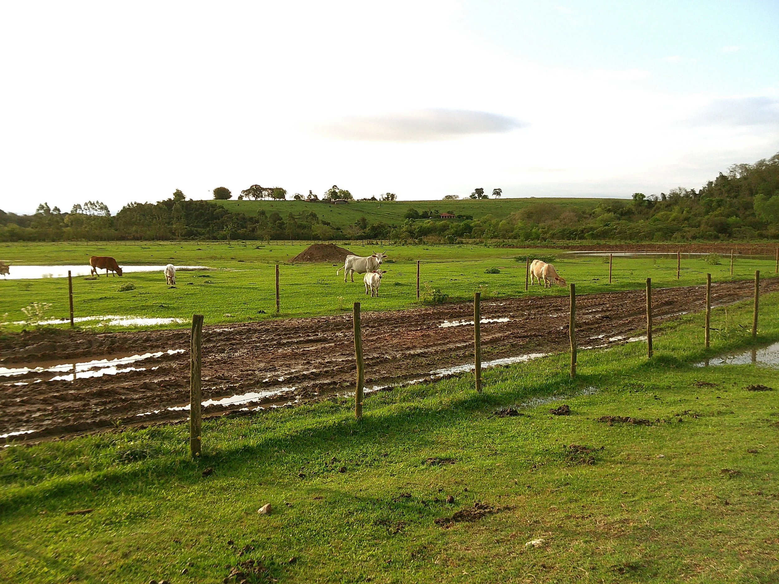 DSCF0278.JPG