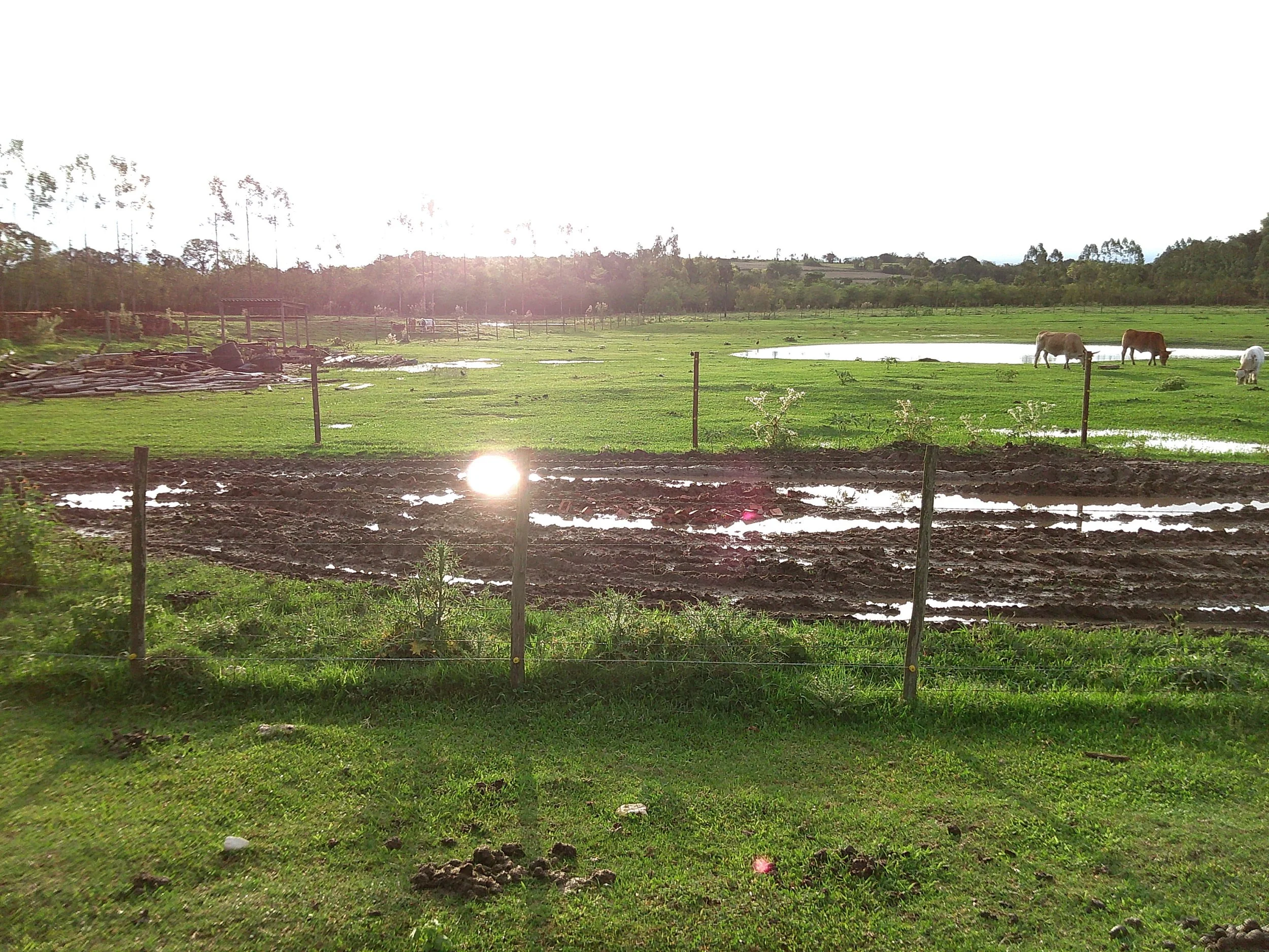 DSCF0279.JPG