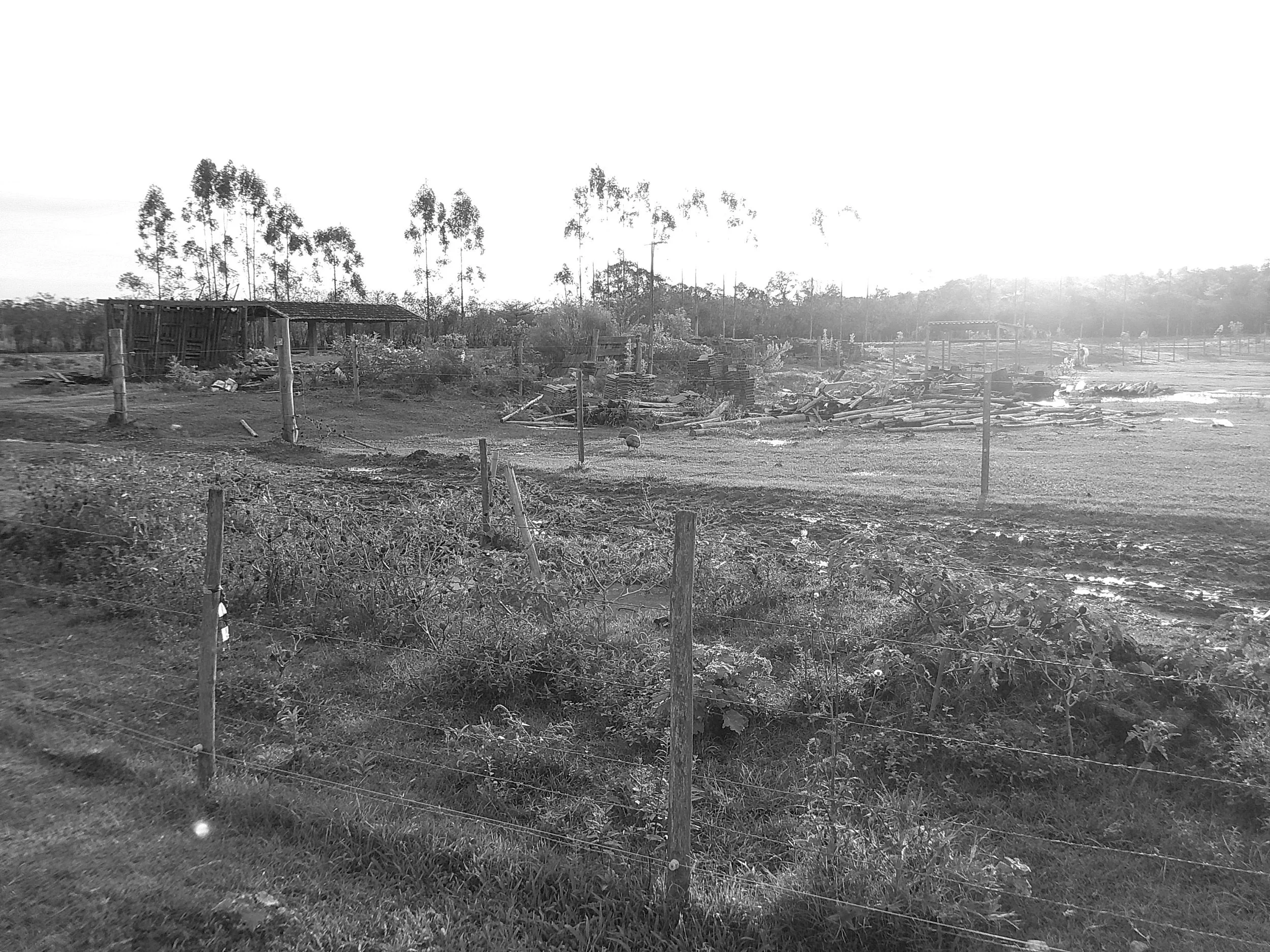 DSCF0287.JPG