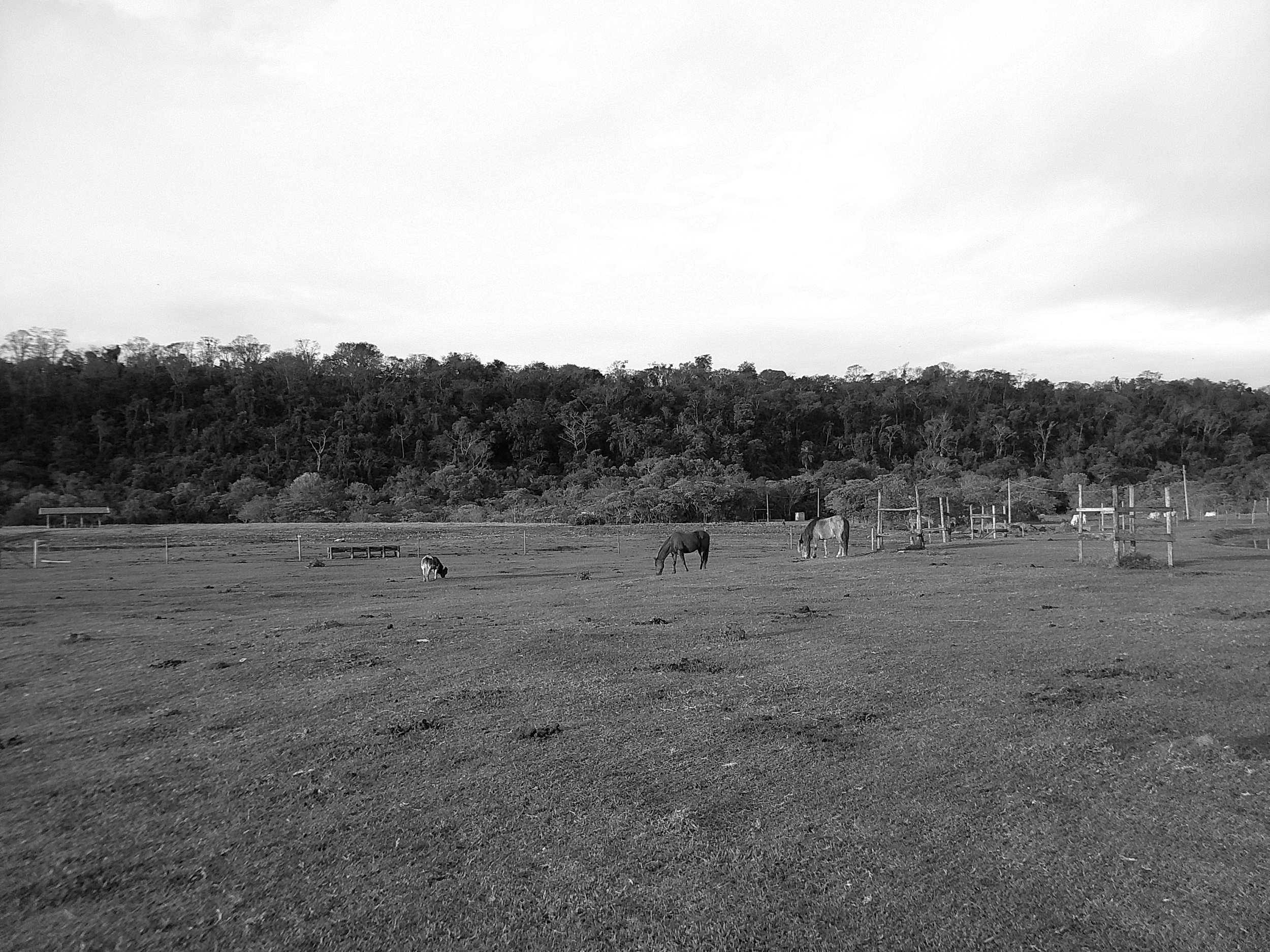 DSCF0289.JPG