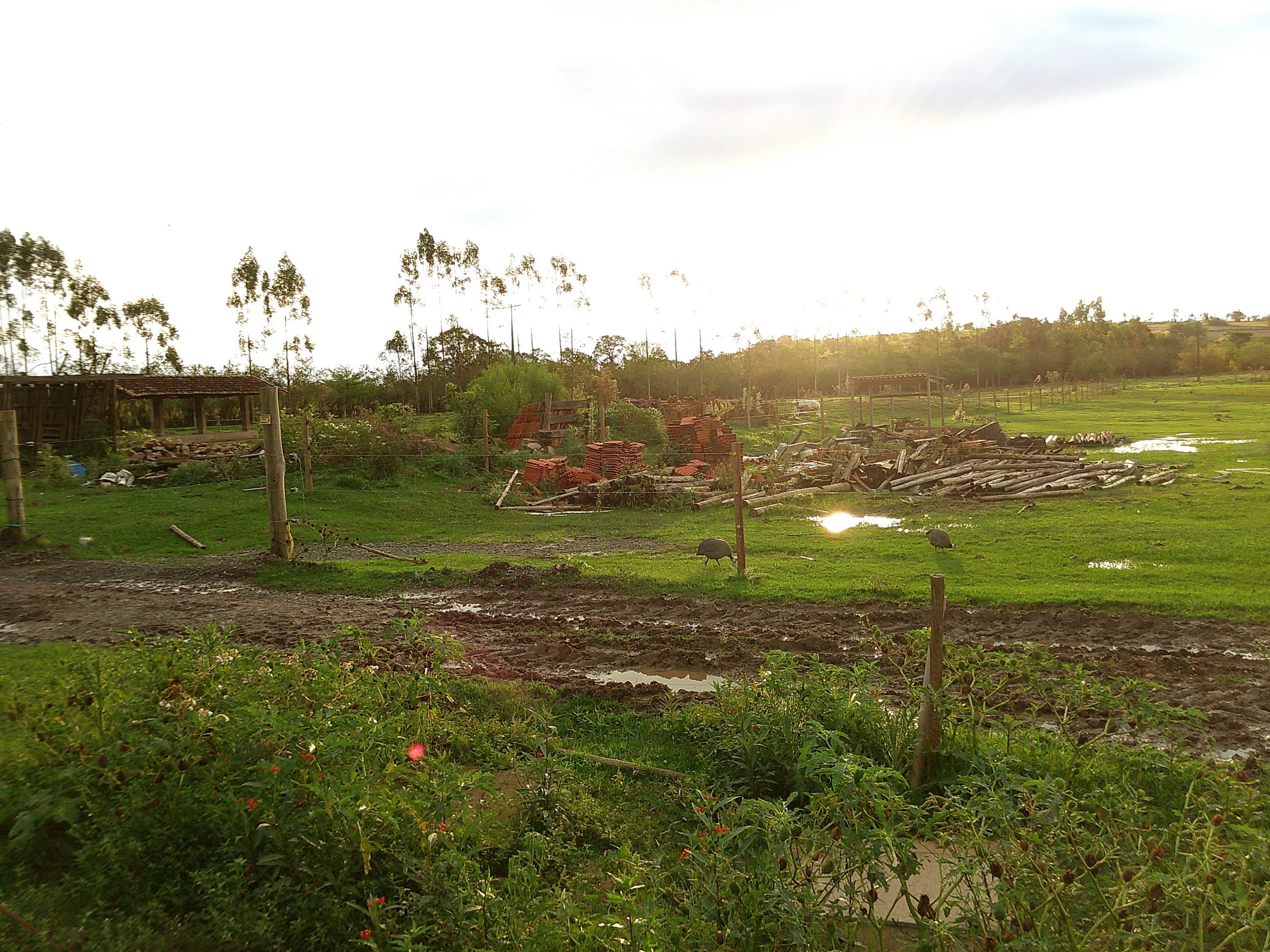 DSCF0291.JPG