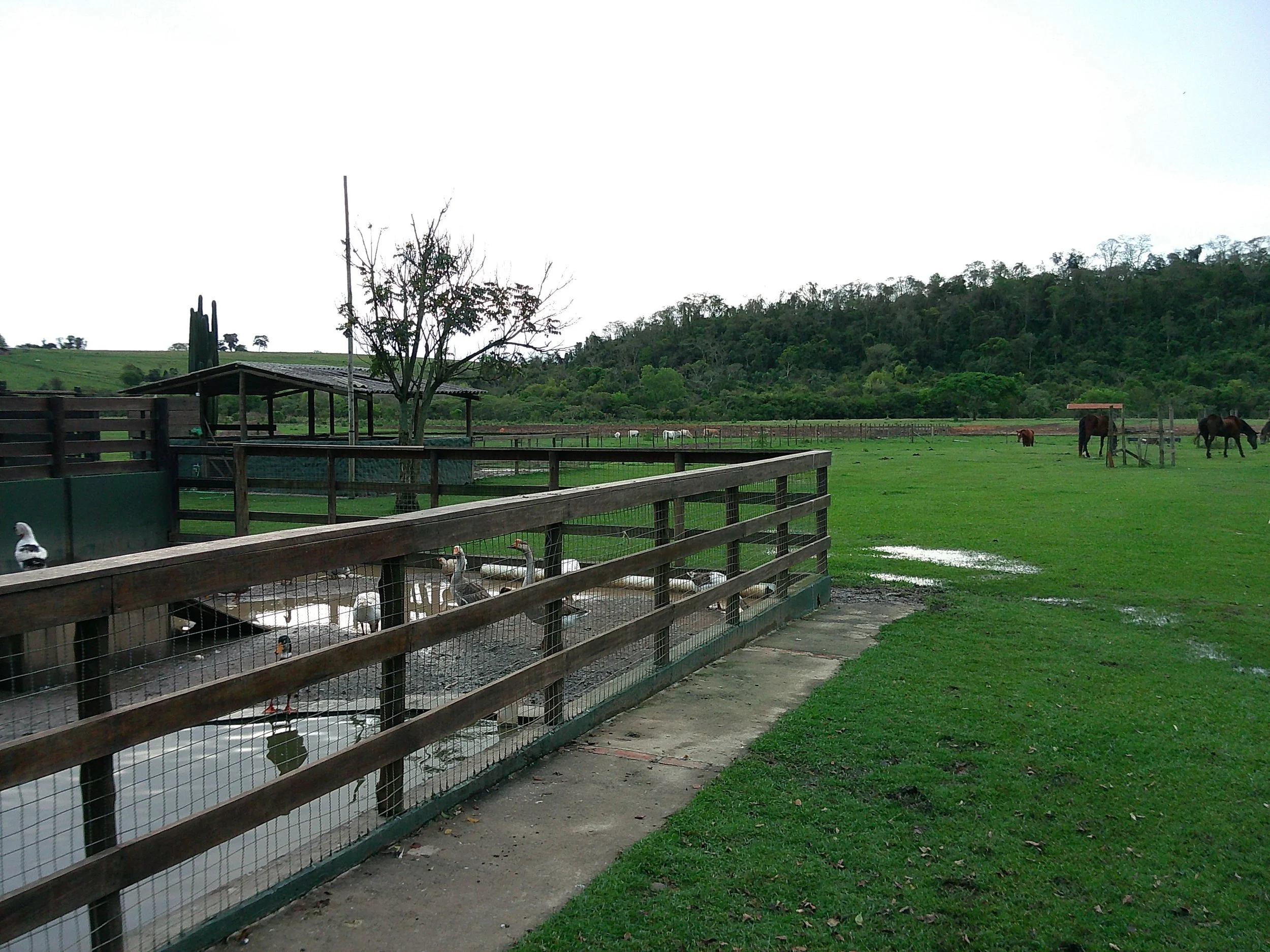 DSCF0296.JPG