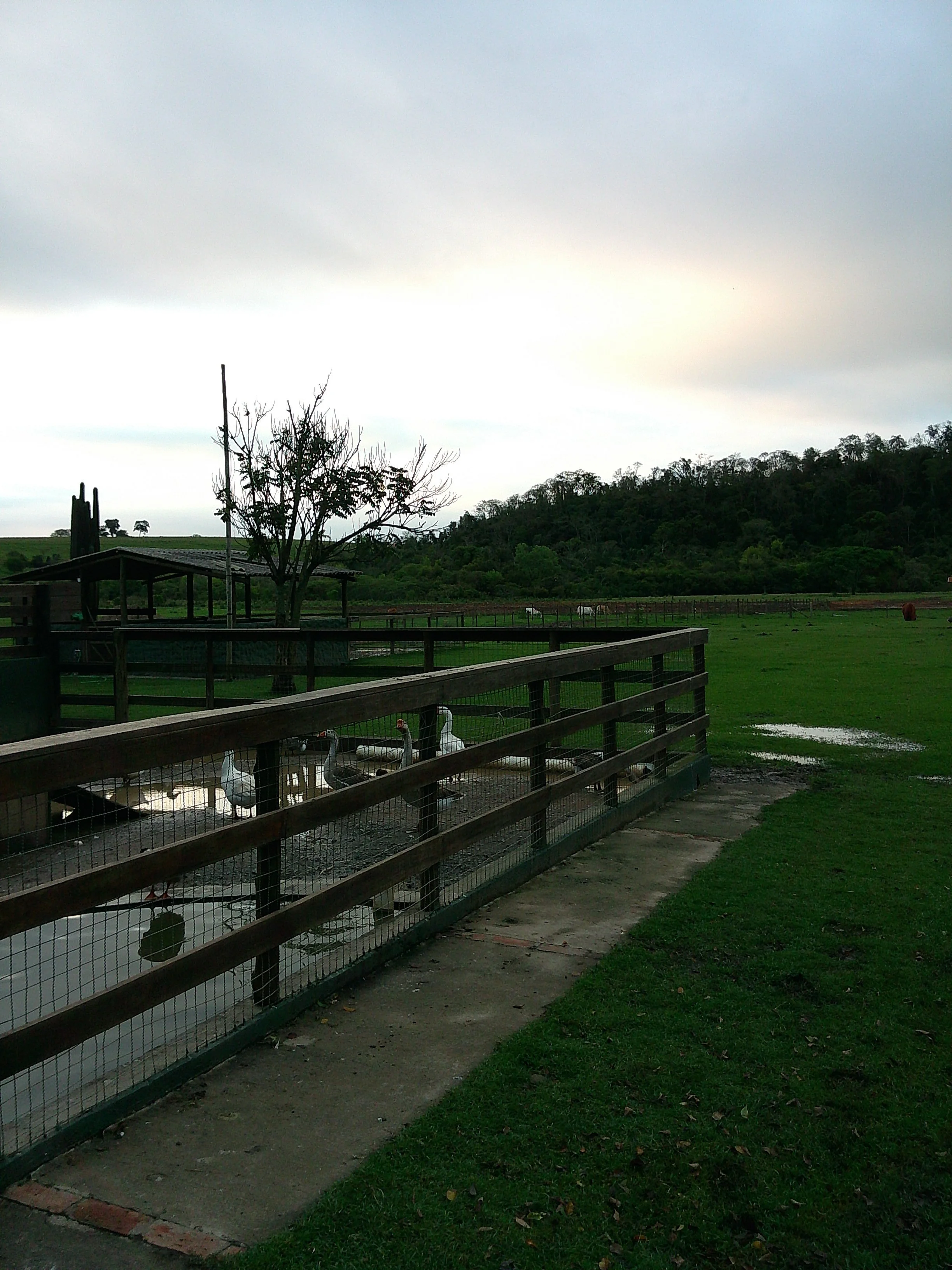 DSCF0297.JPG