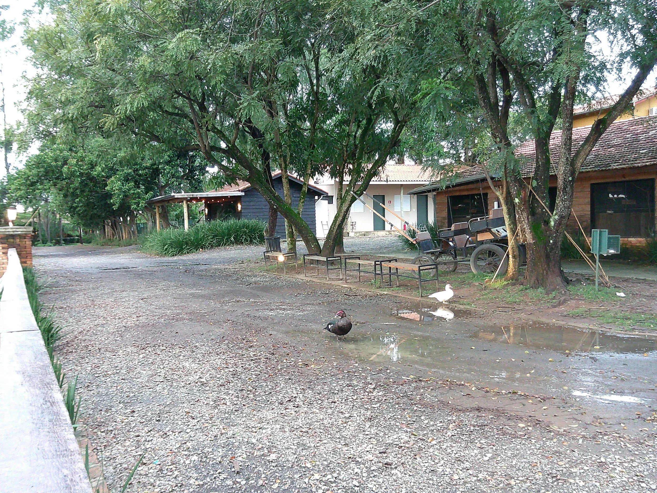 DSCF0298.JPG