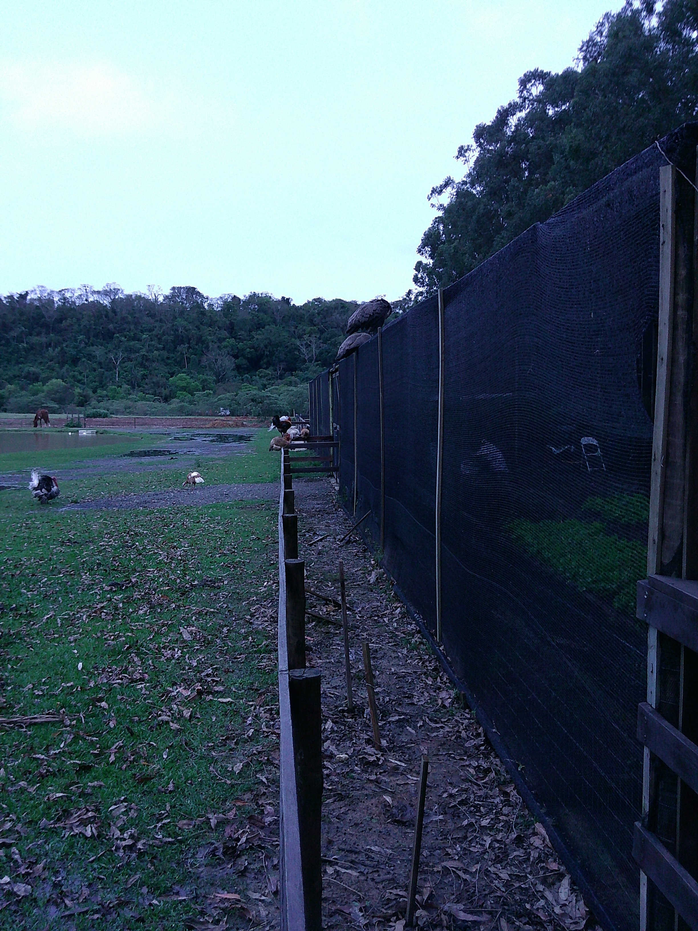 DSCF0299.JPG