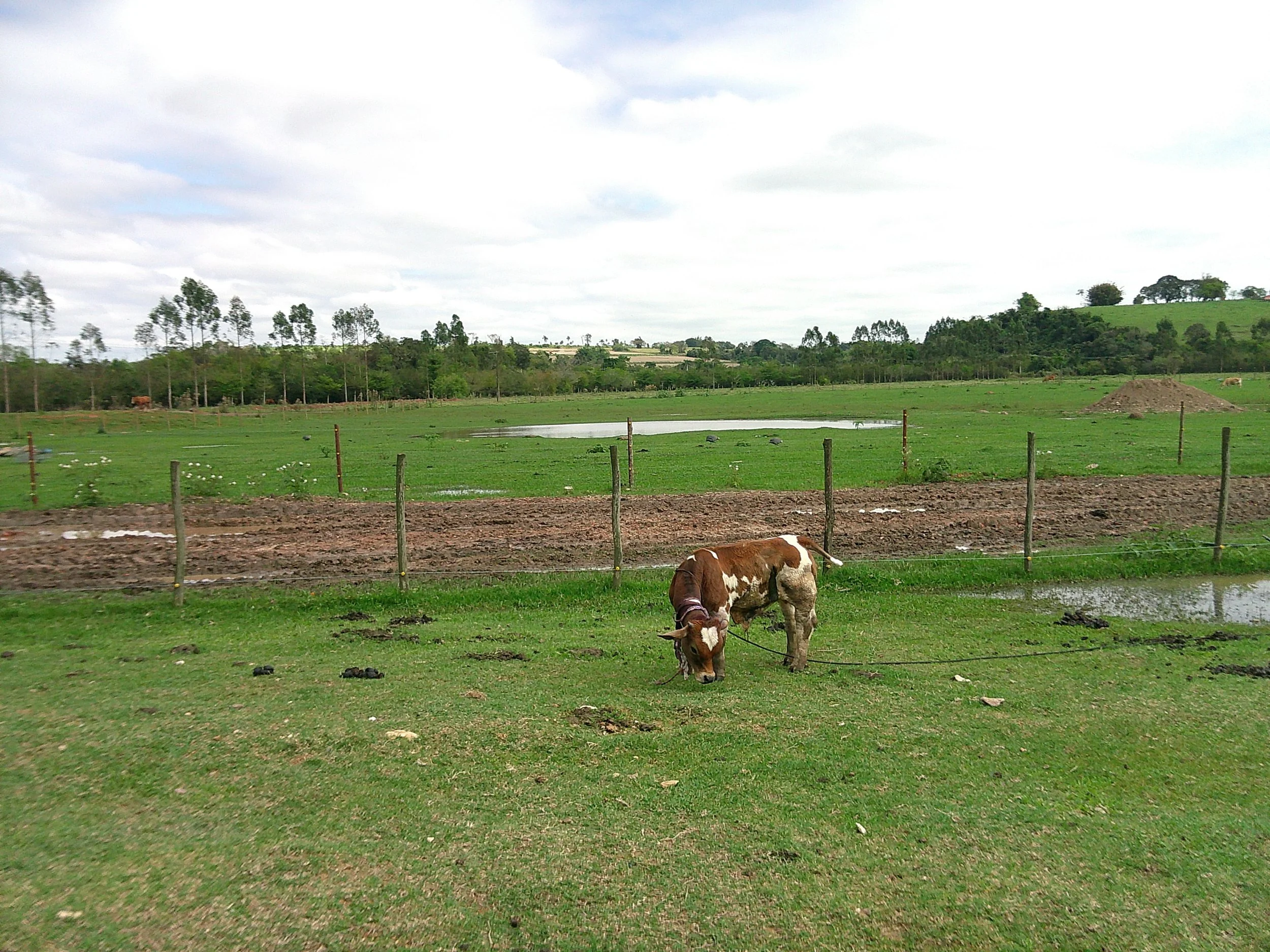 DSCF0303.JPG