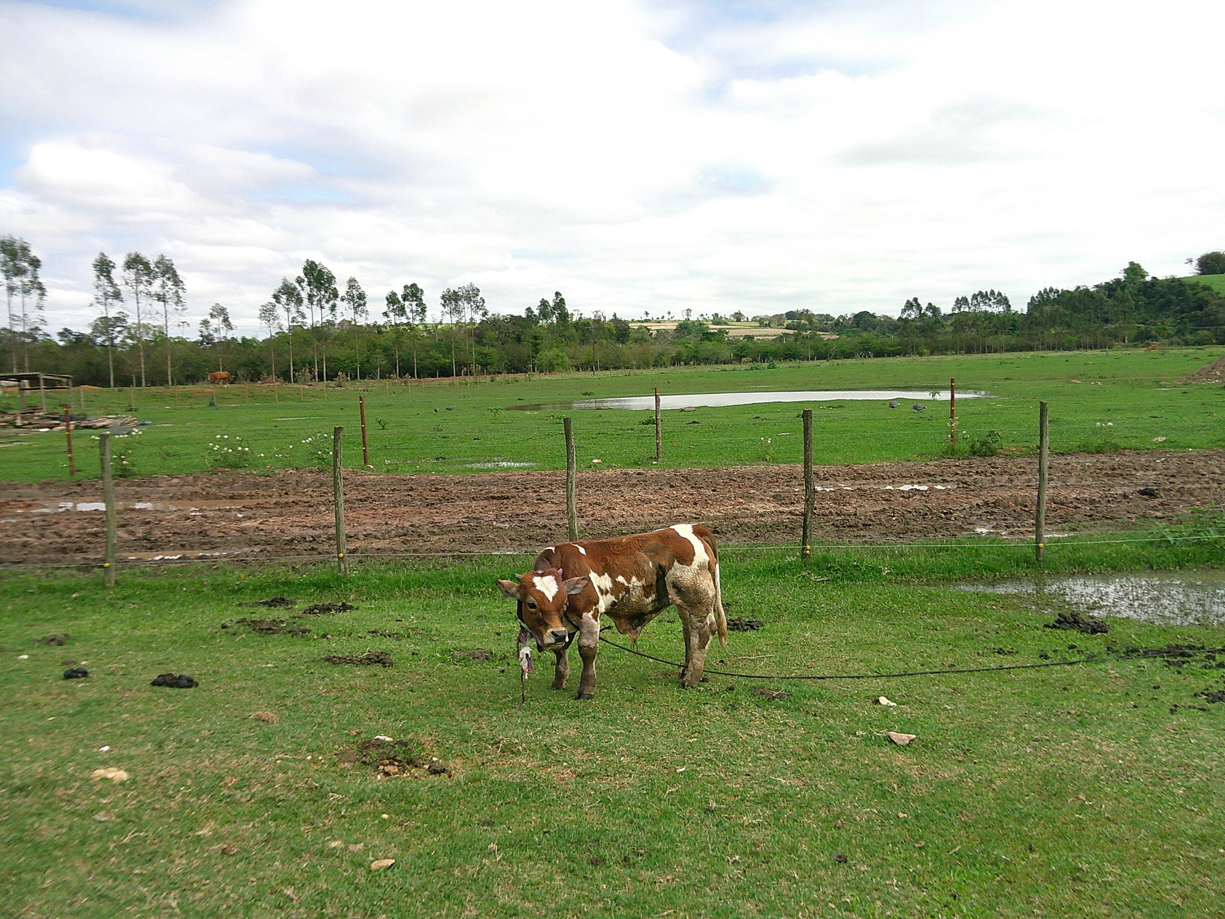 DSCF0304.JPG
