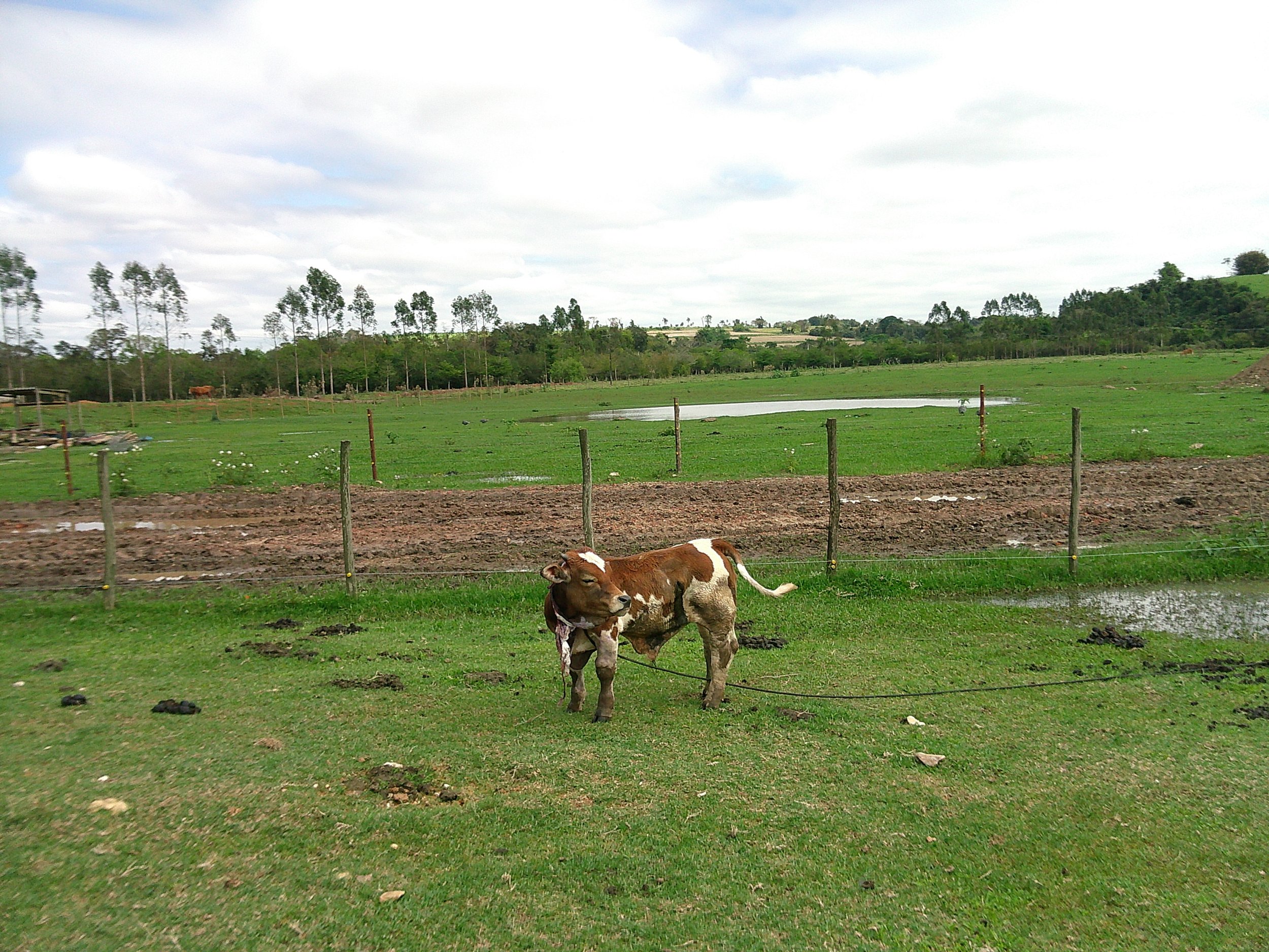 DSCF0305.JPG