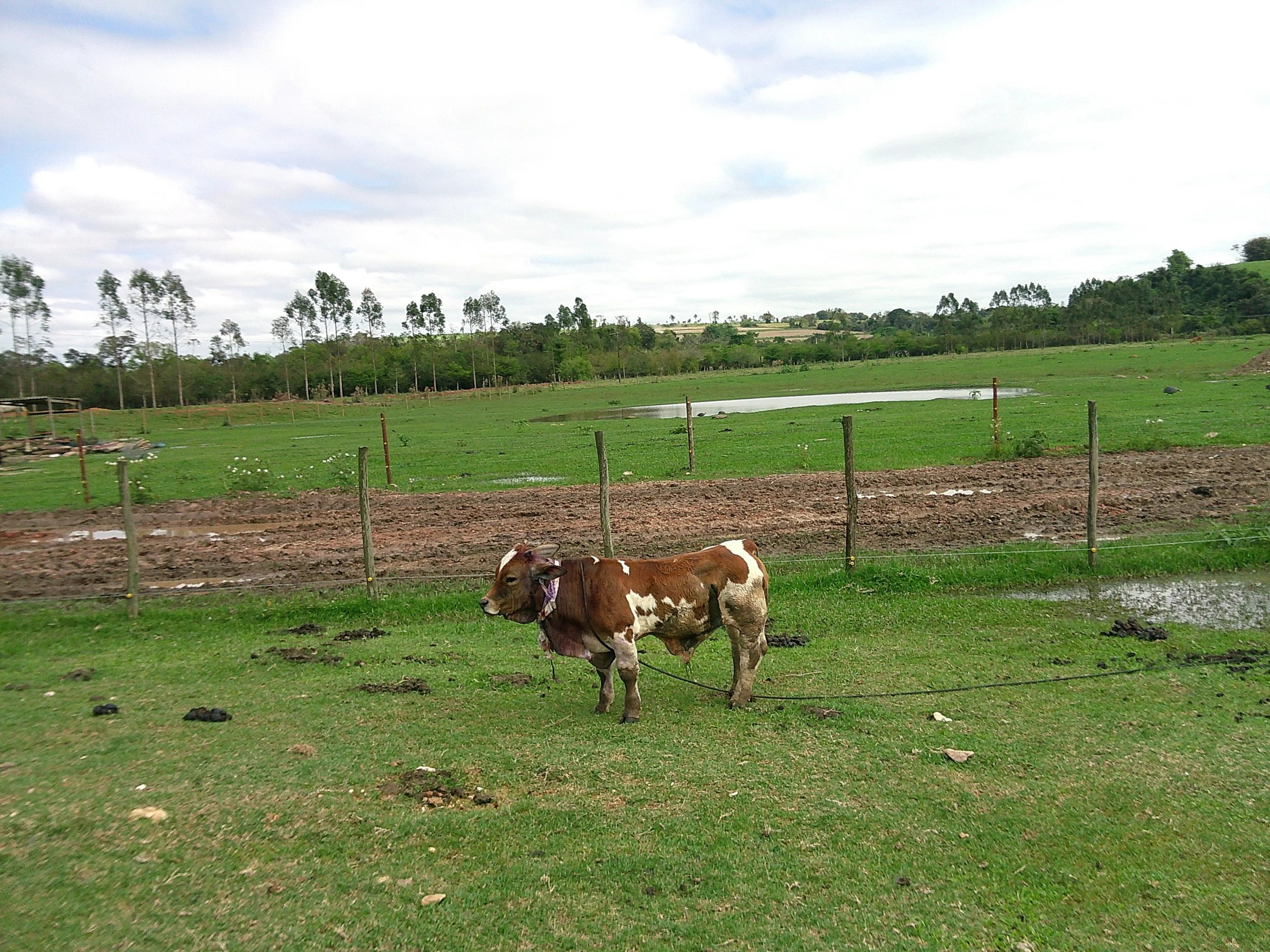 DSCF0307.JPG
