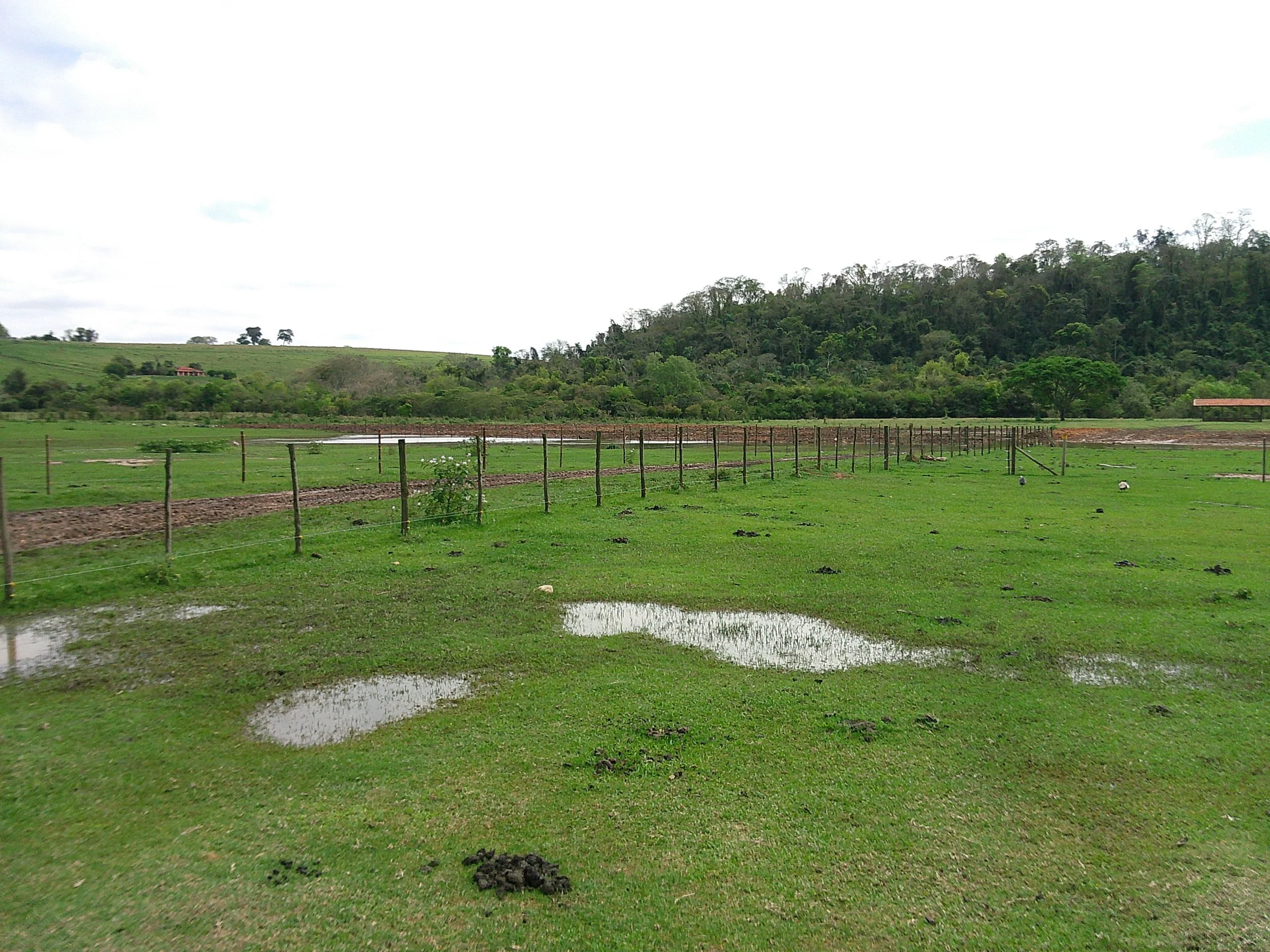 DSCF0308.JPG