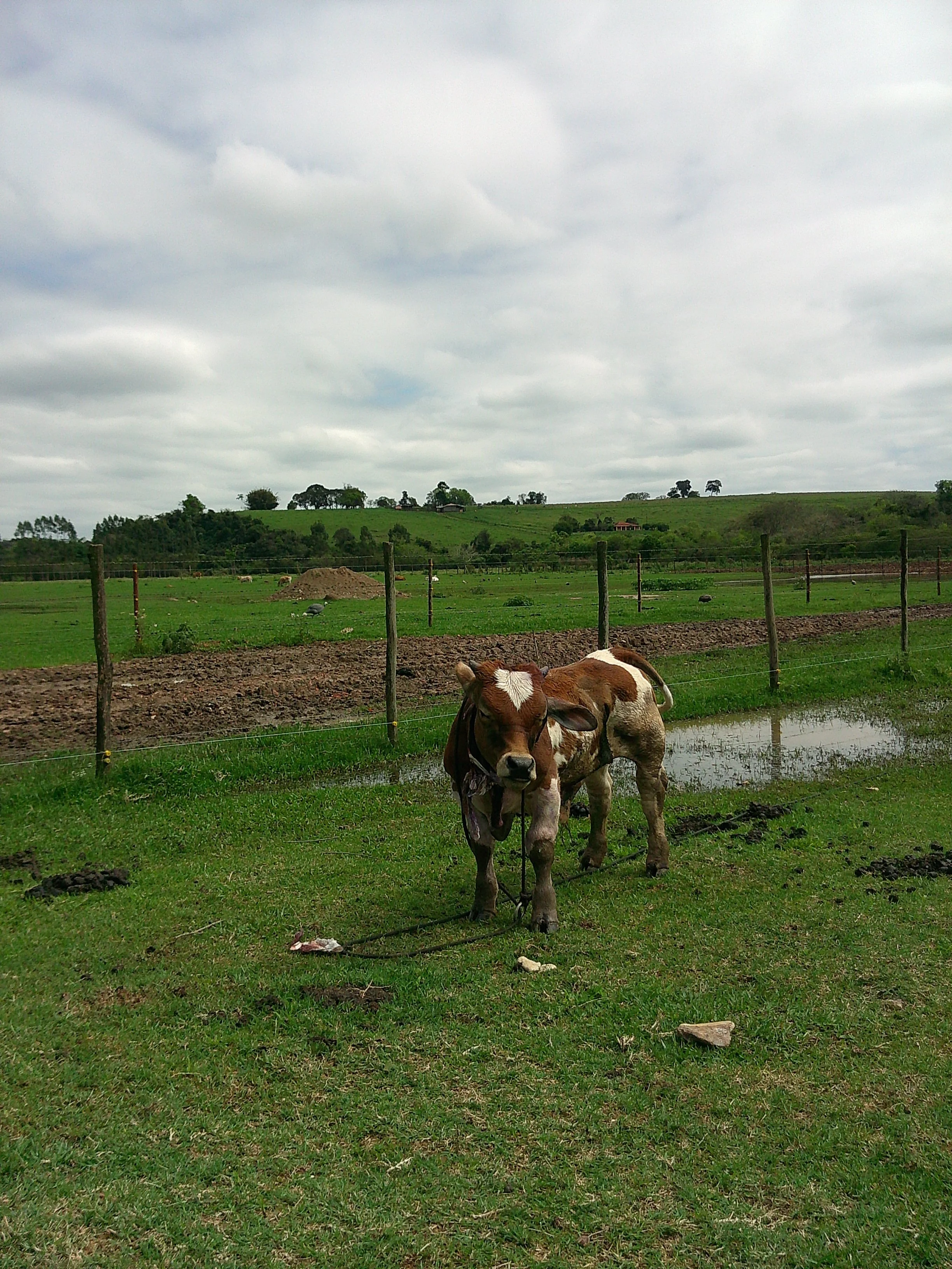 DSCF0313.JPG