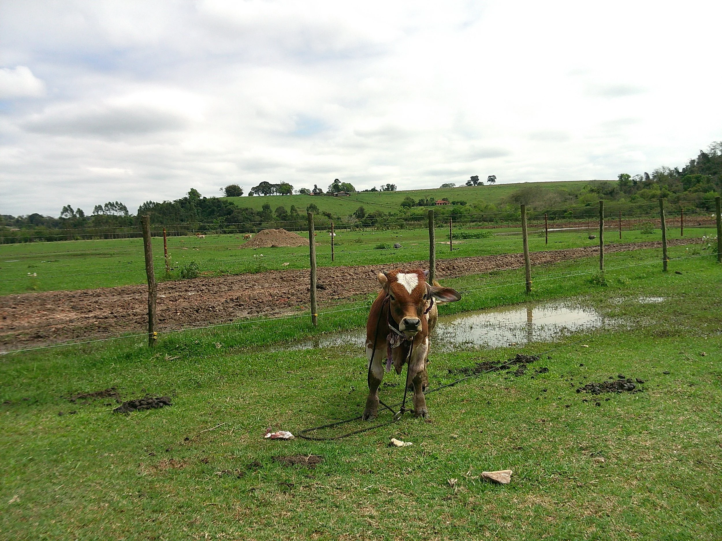 DSCF0314.JPG