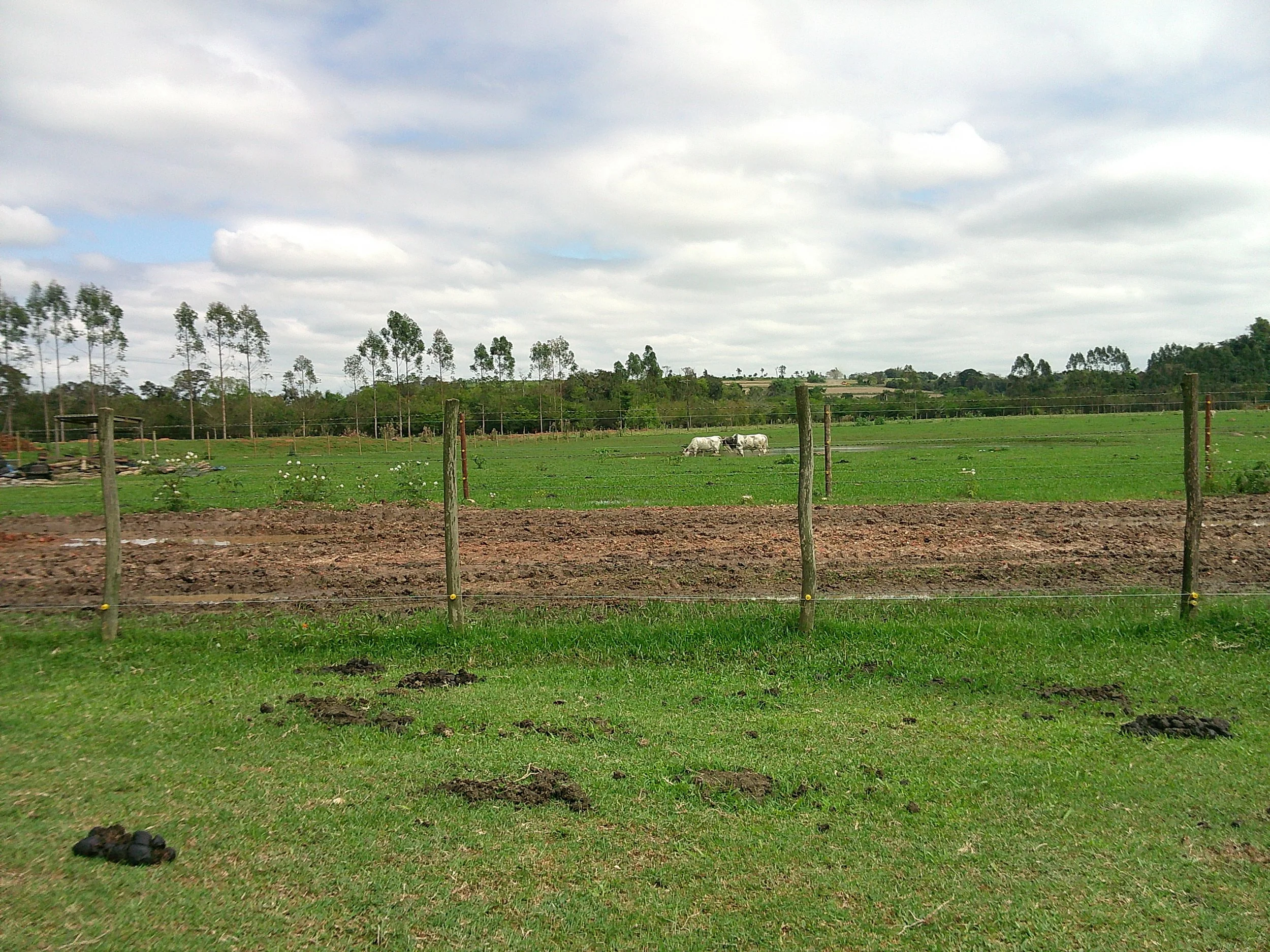 DSCF0315.JPG