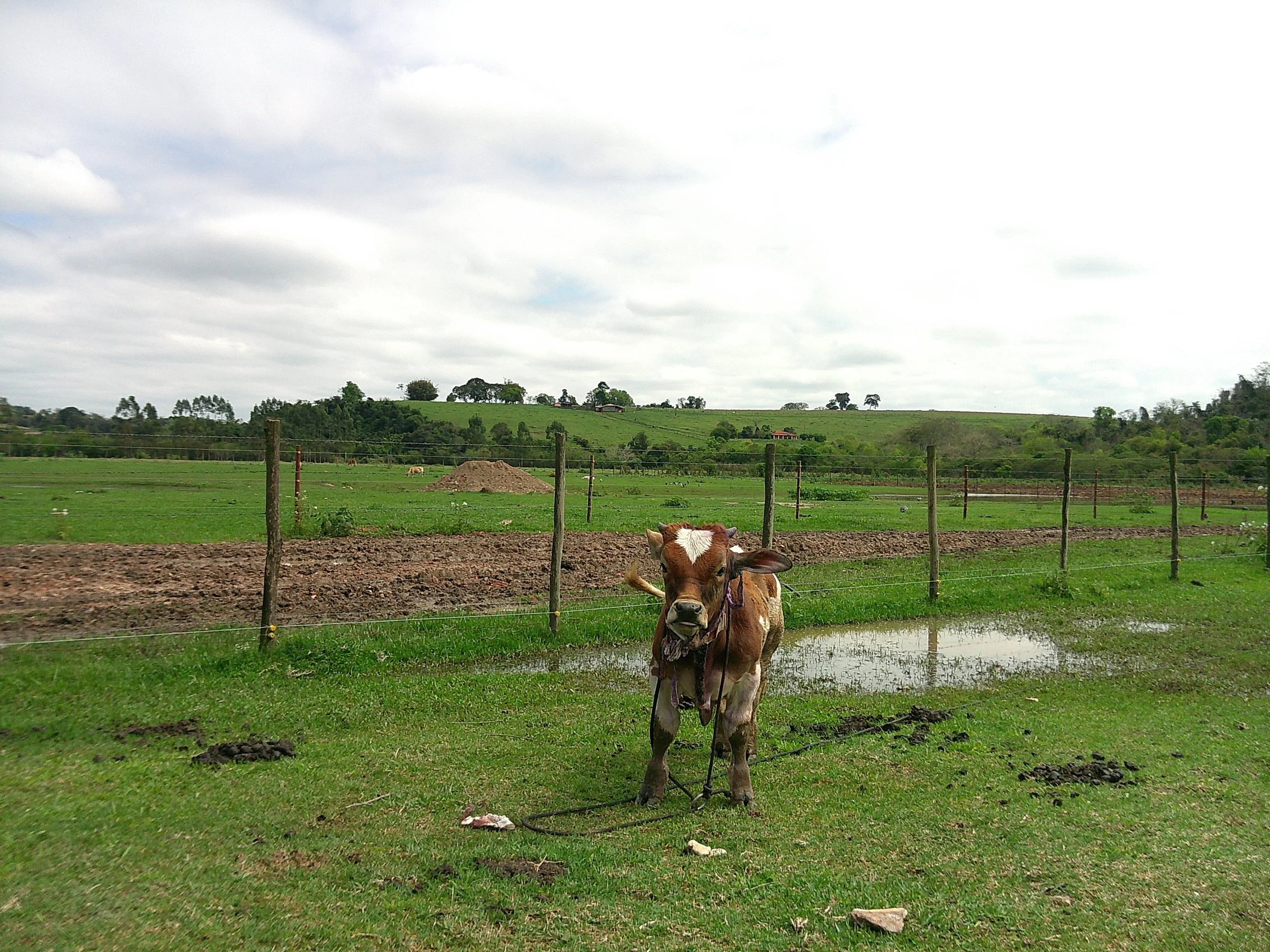 DSCF0316.JPG