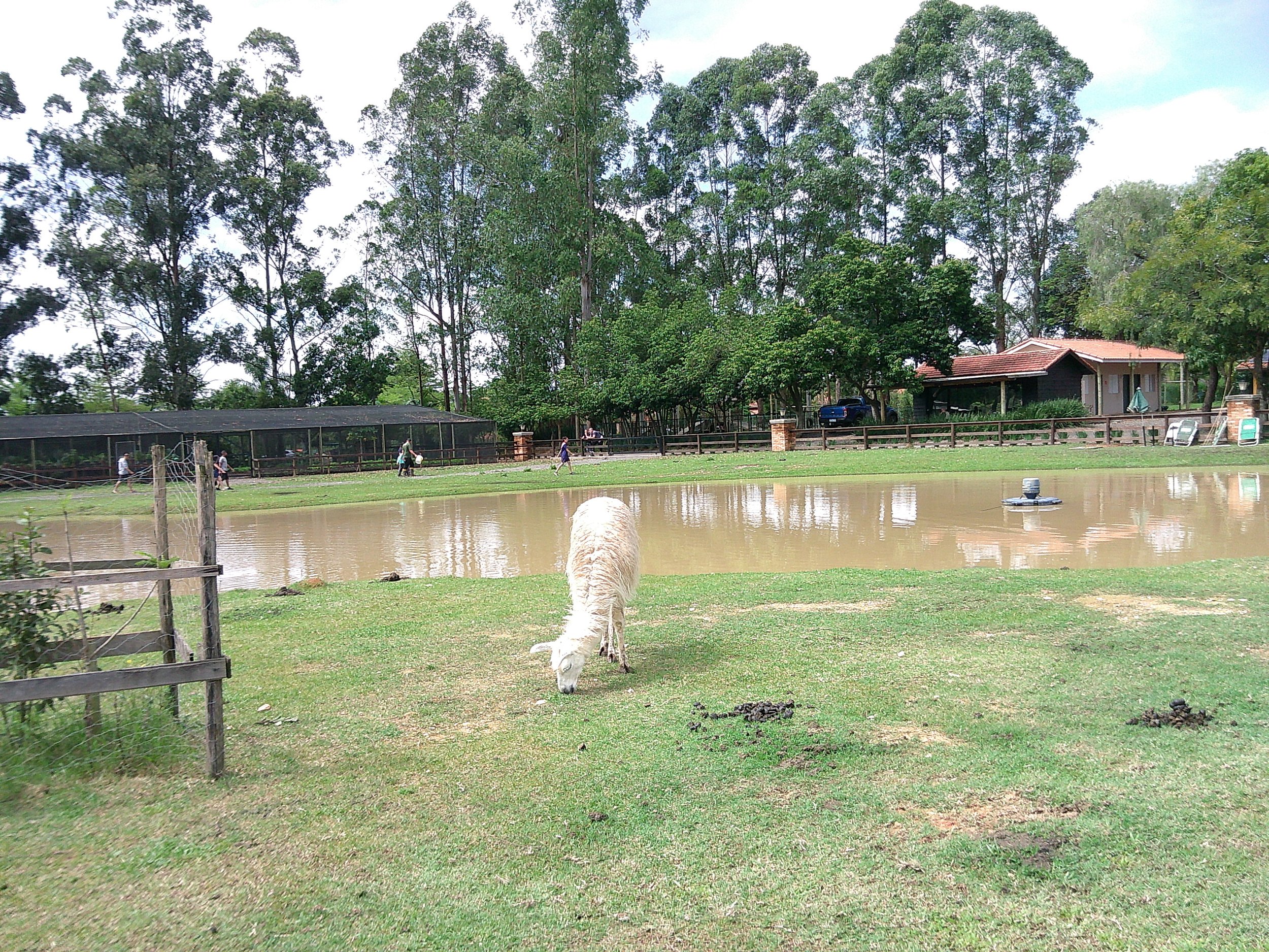 DSCF0318.JPG