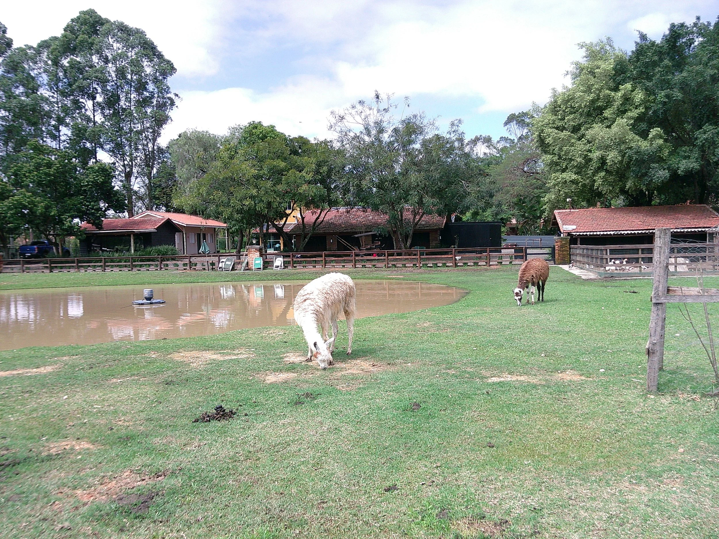 DSCF0319.JPG