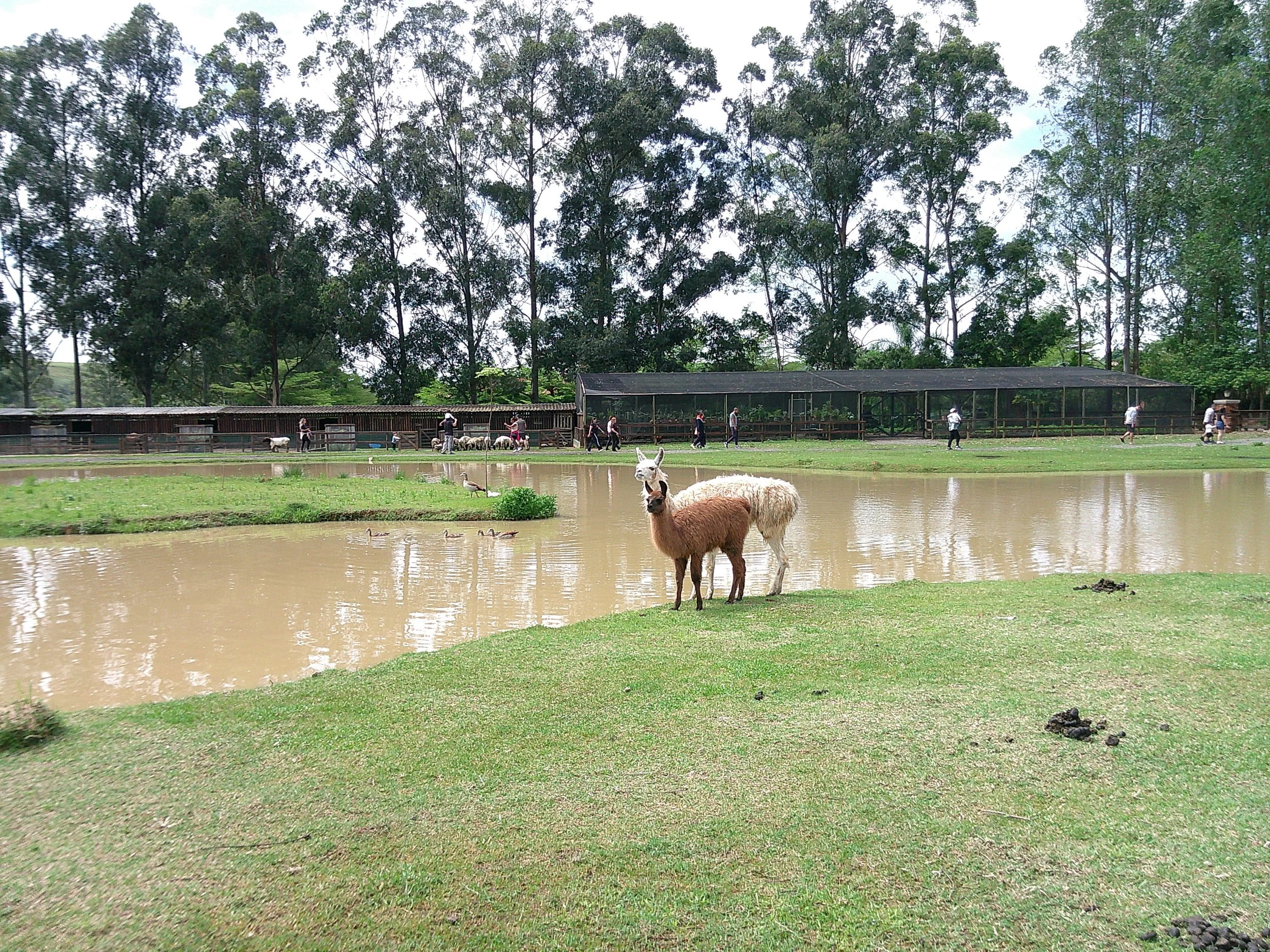 DSCF0320.JPG