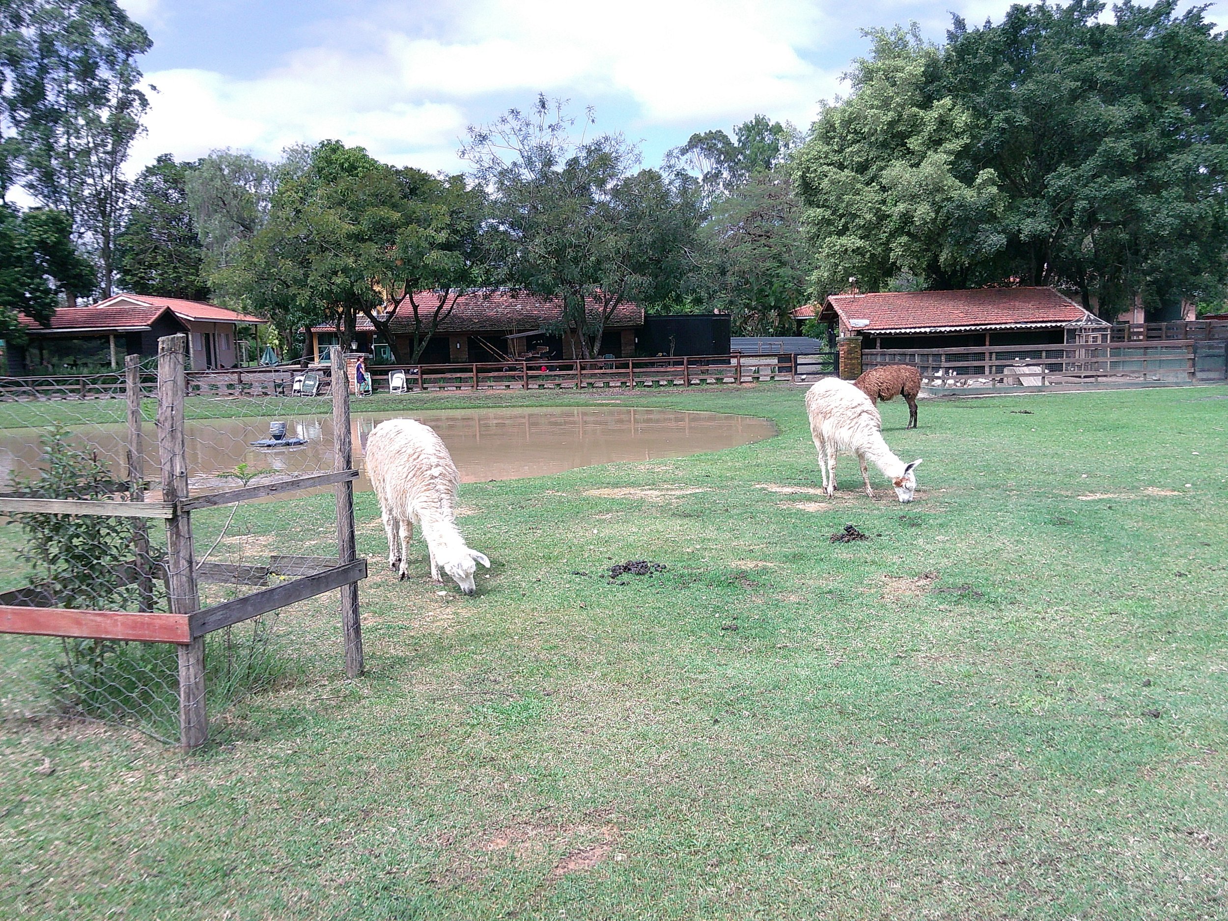 DSCF0321.JPG