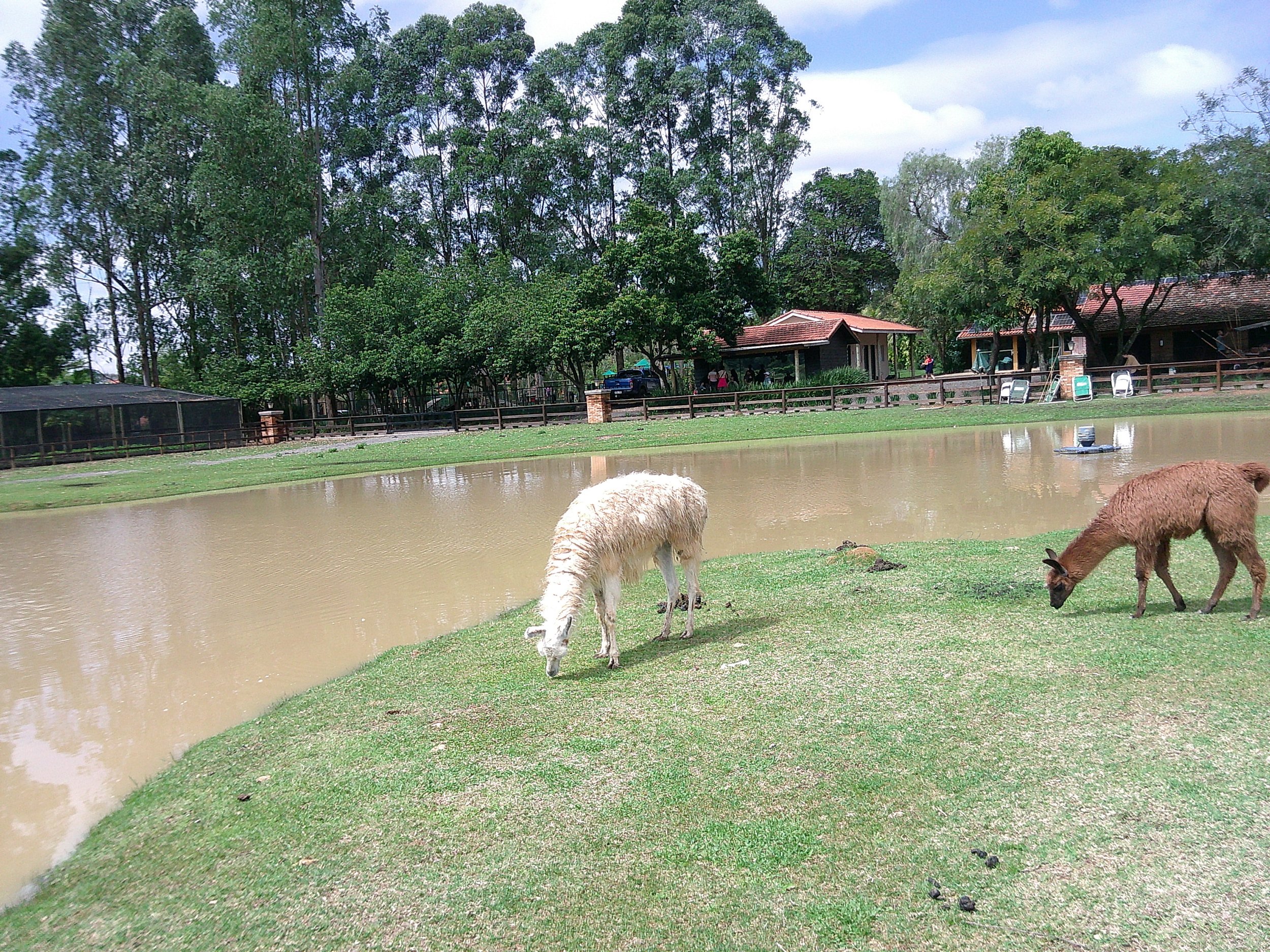DSCF0325.JPG