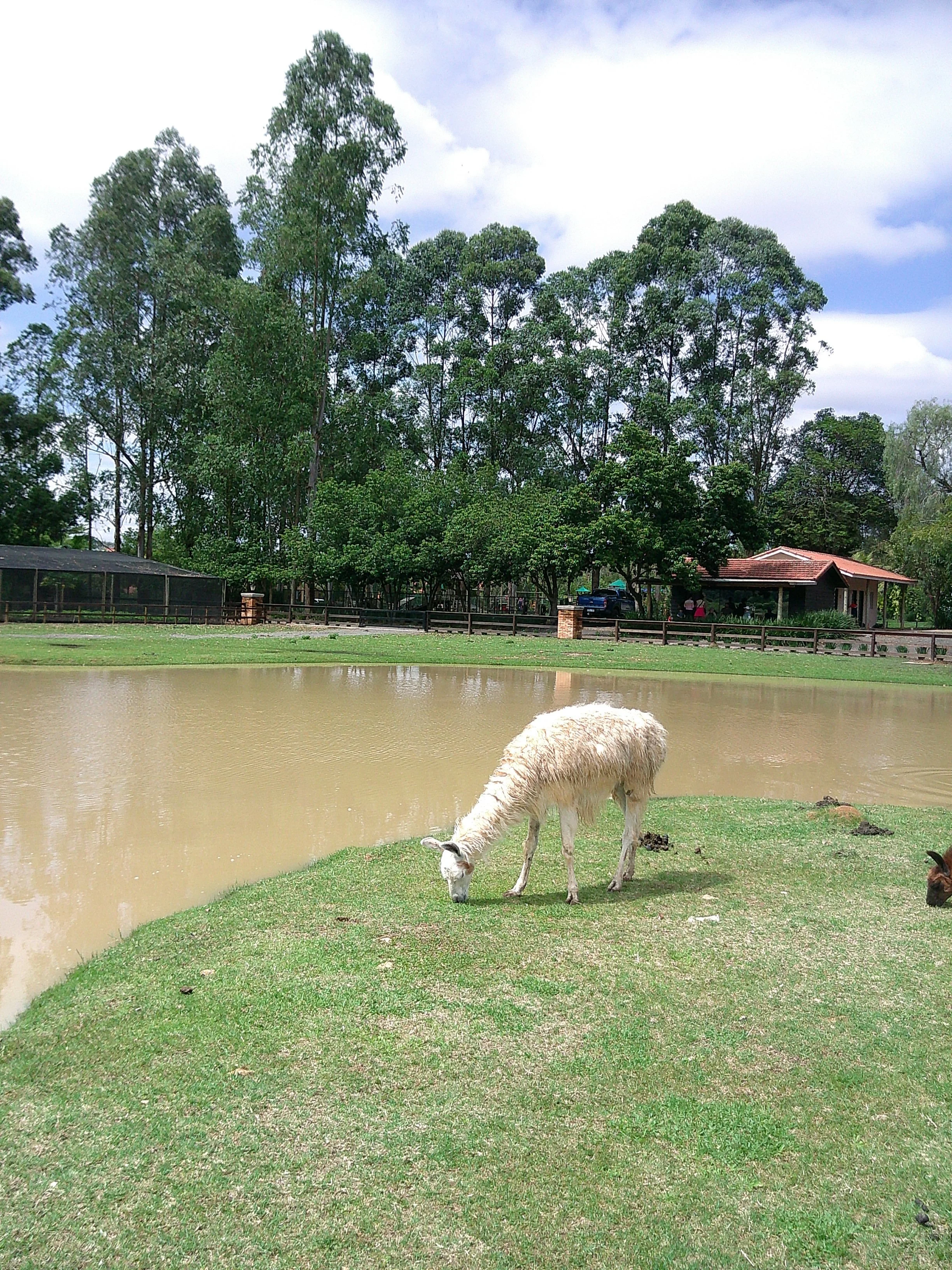 DSCF0326.JPG