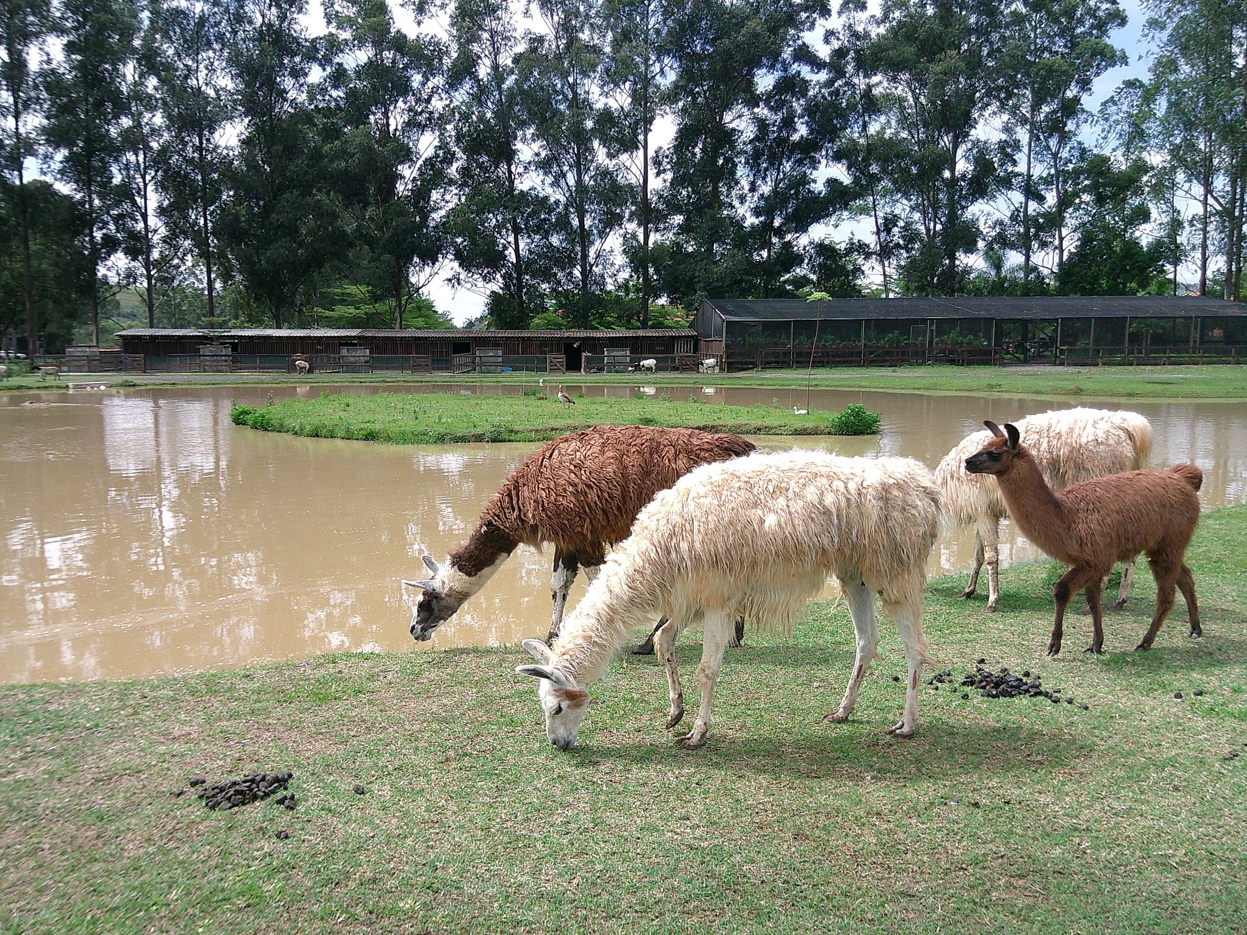 DSCF0328.JPG