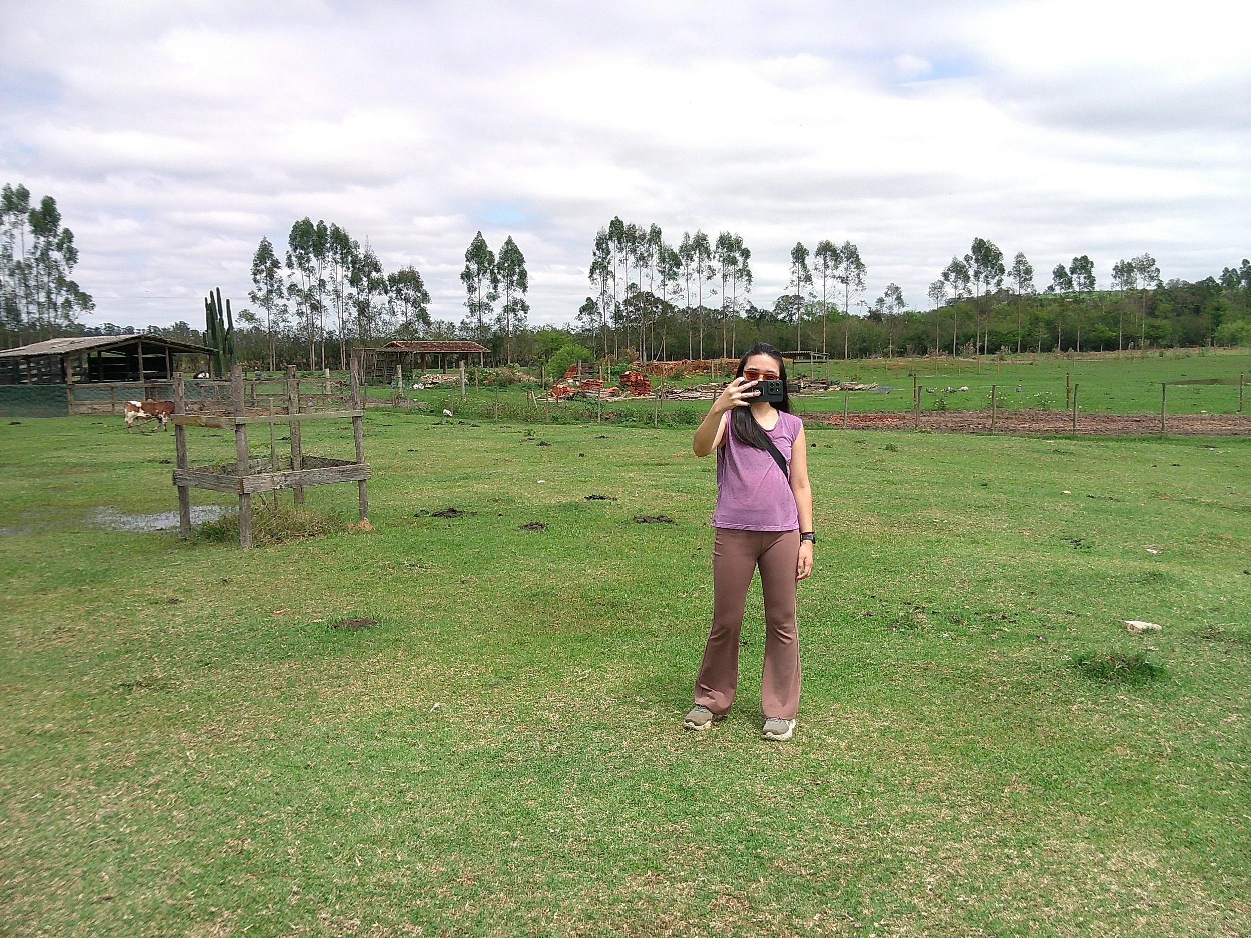 DSCF0332.JPG