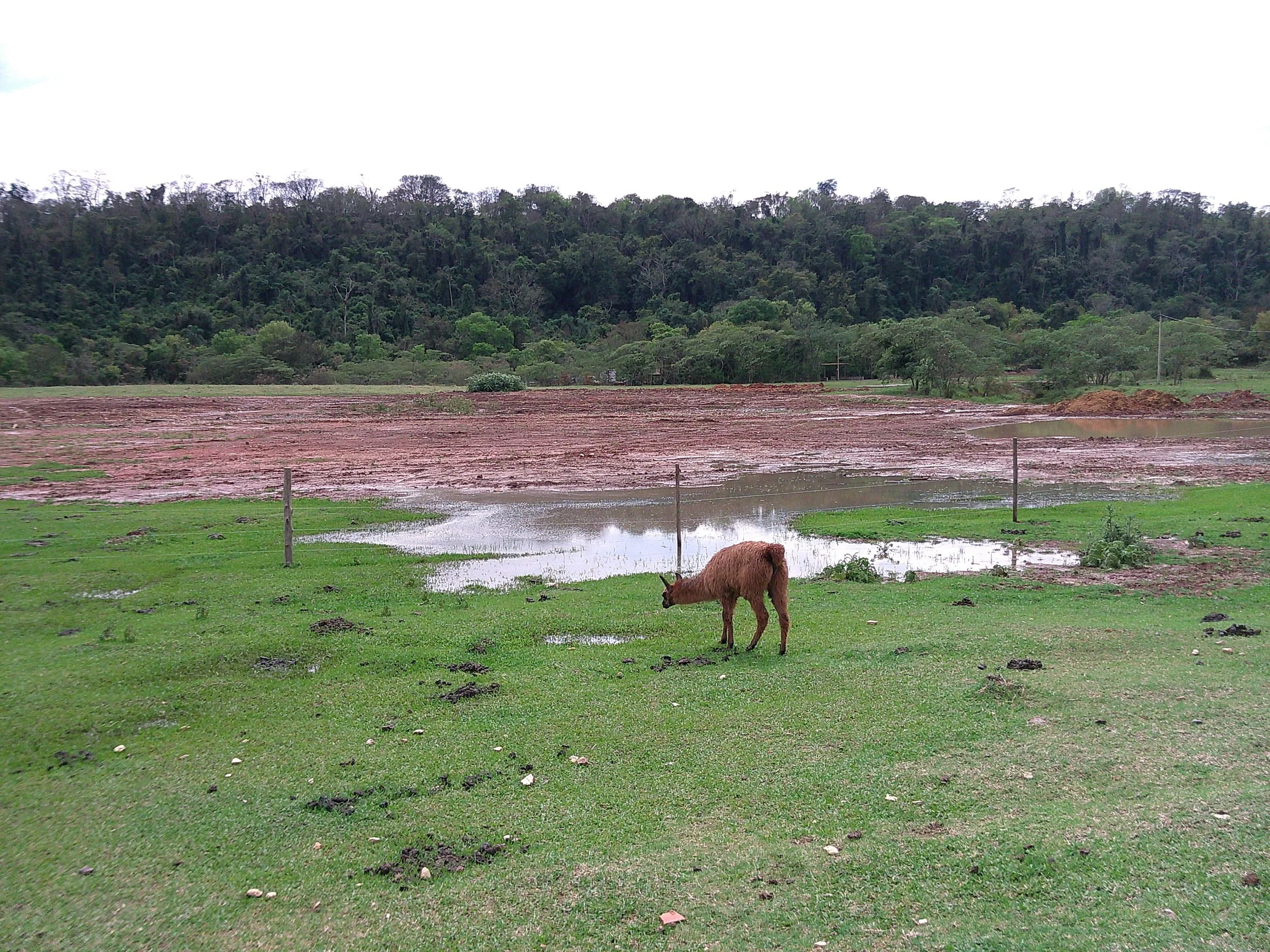 DSCF0341.JPG