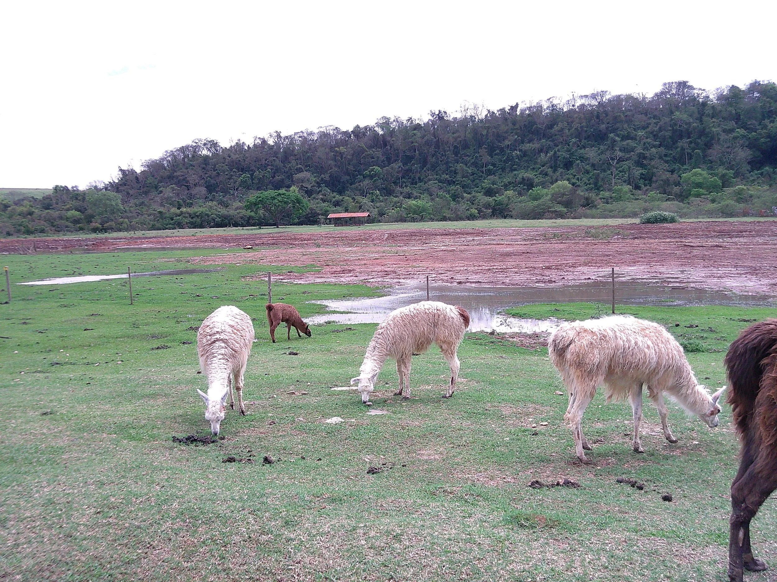 DSCF0344.JPG