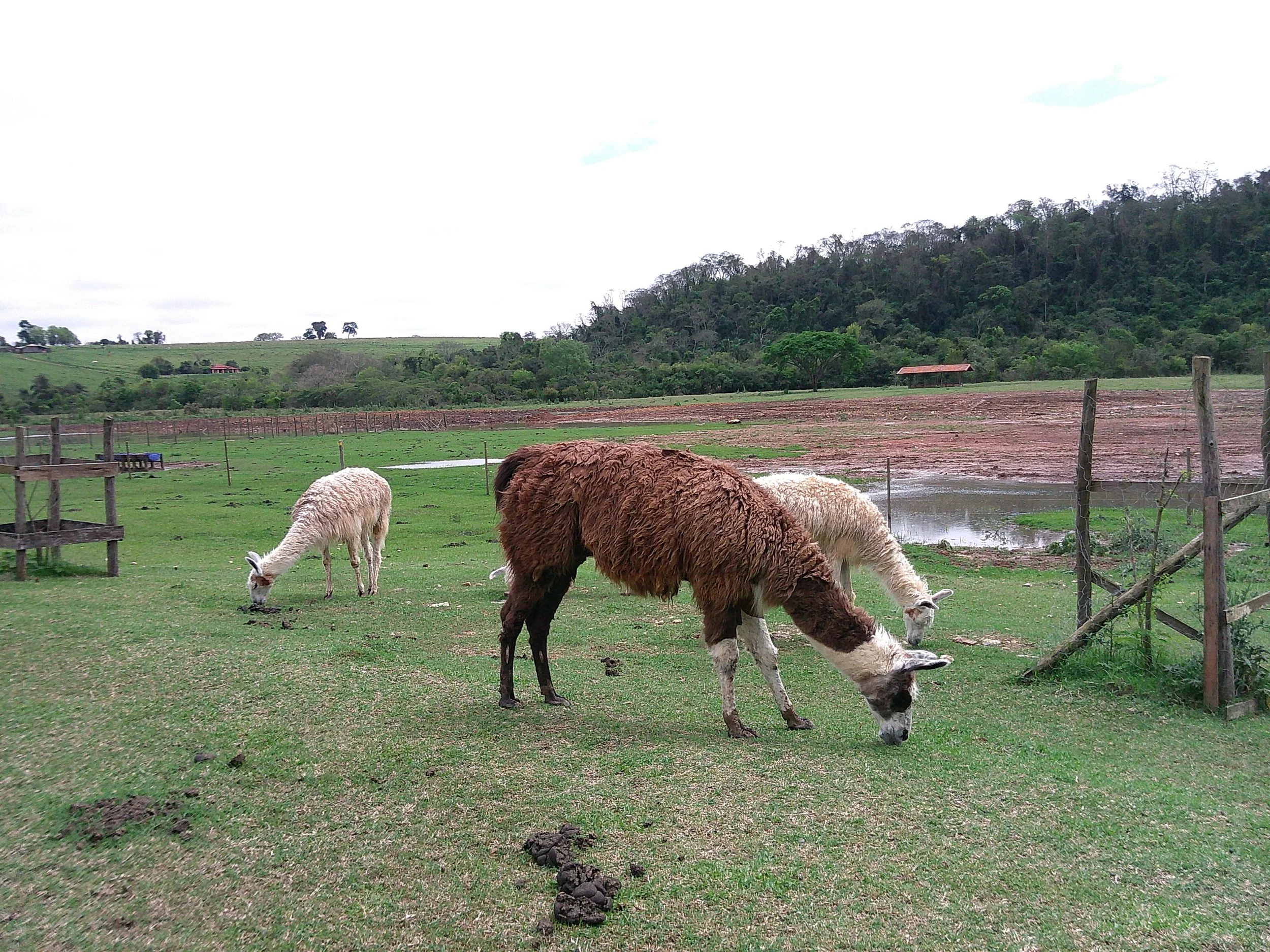 DSCF0345.JPG