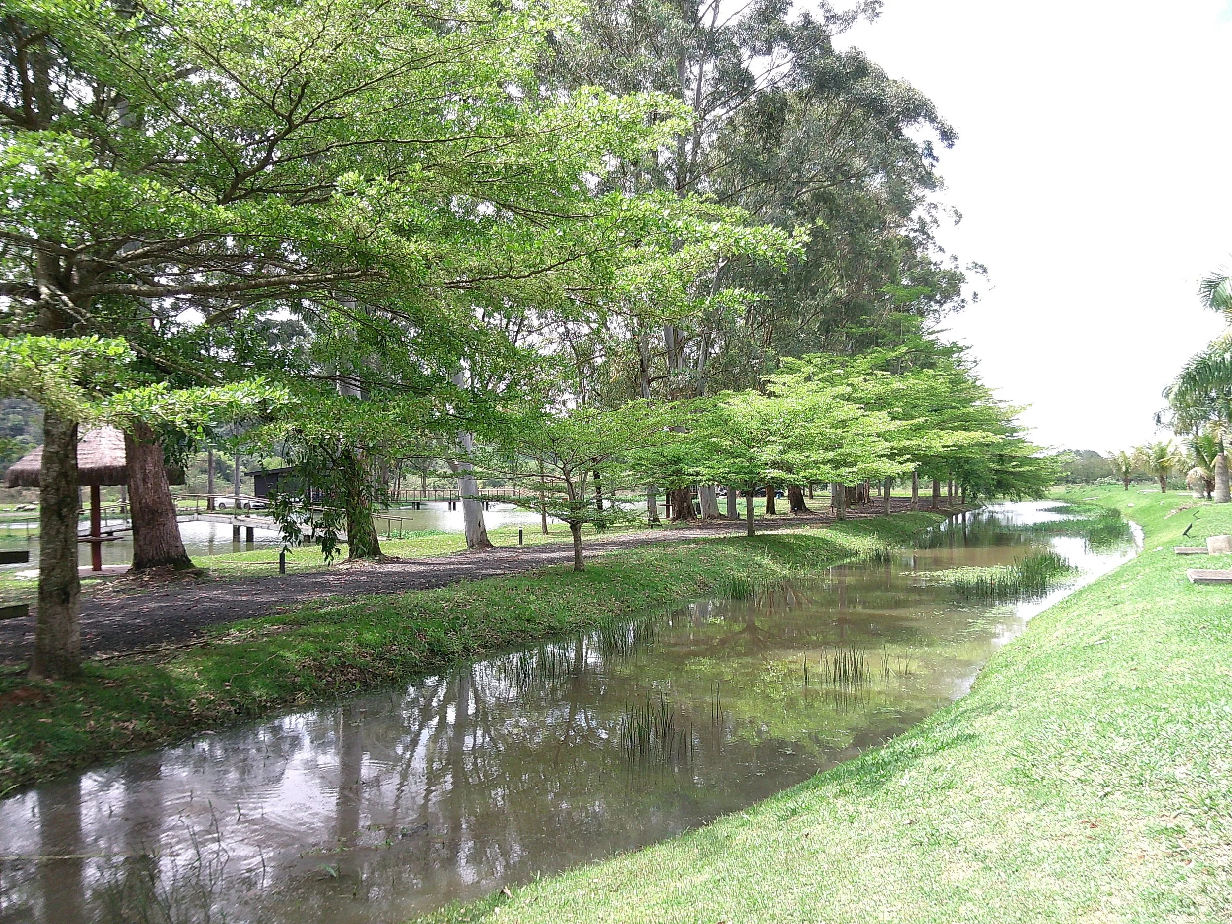 DSCF0377.JPG