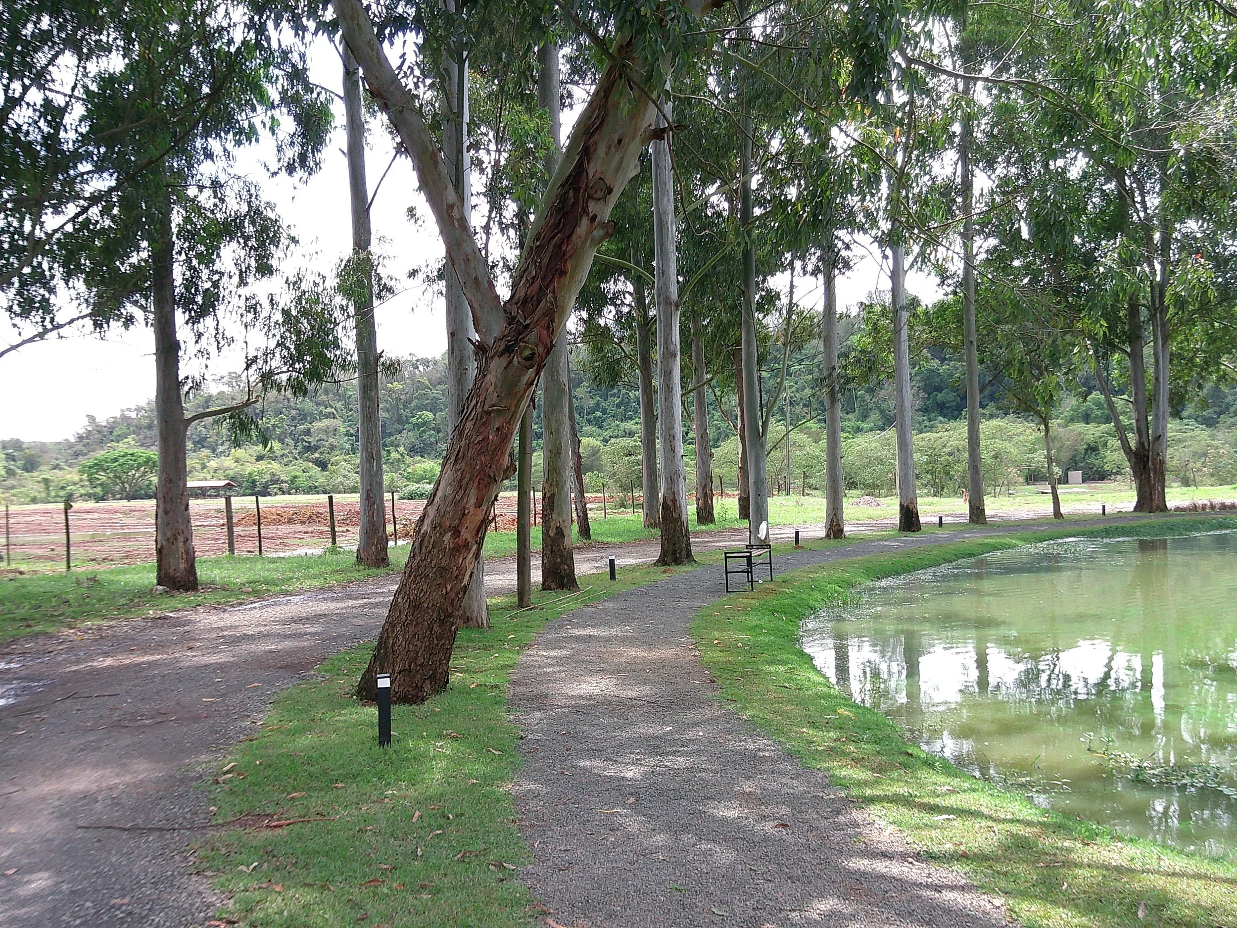DSCF0378.JPG