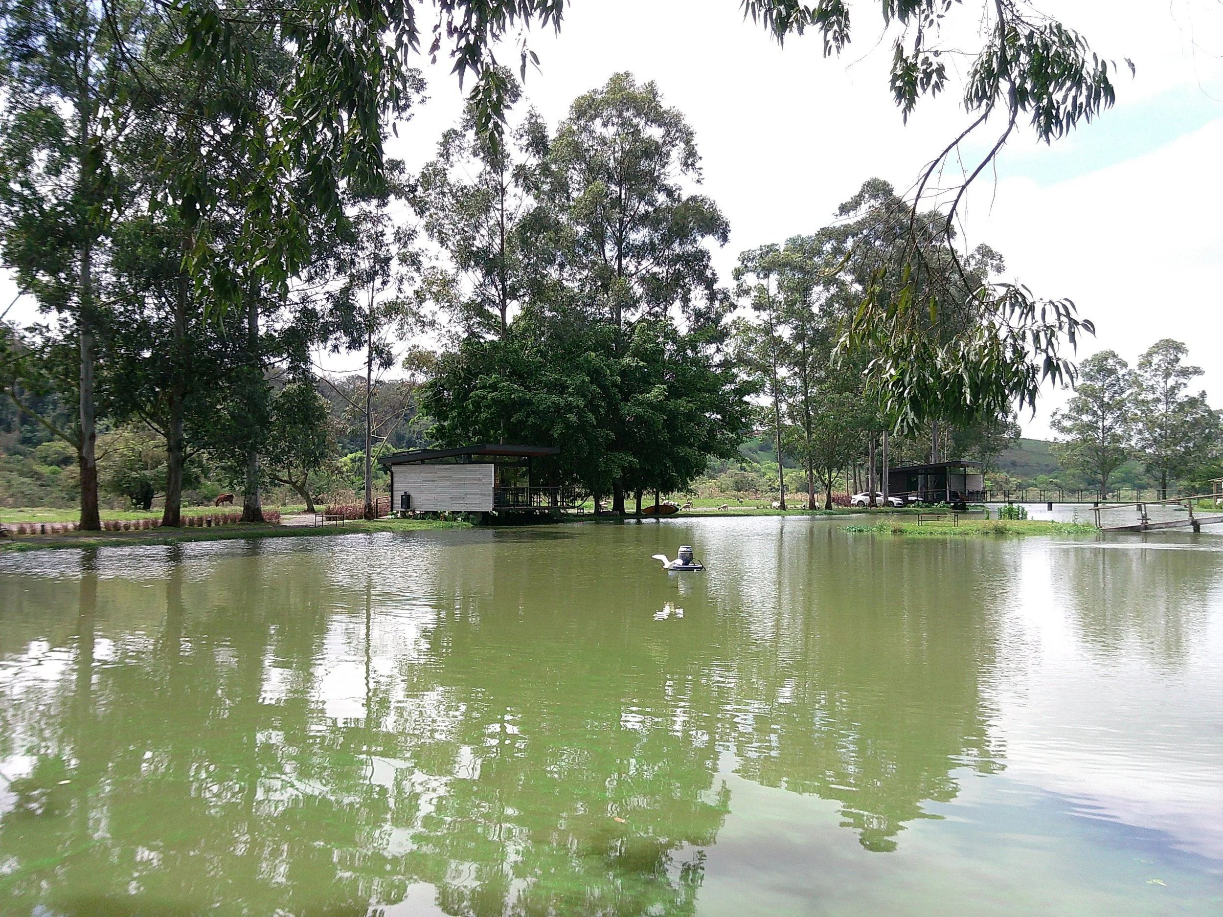 DSCF0379.JPG