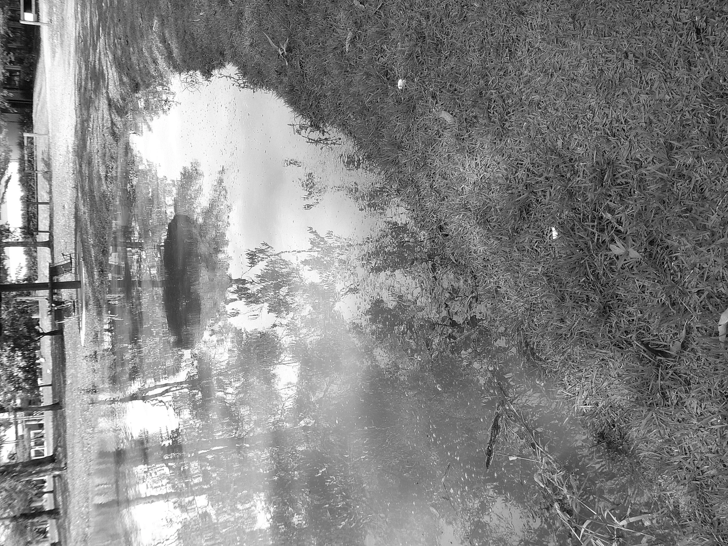 DSCF0380.JPG