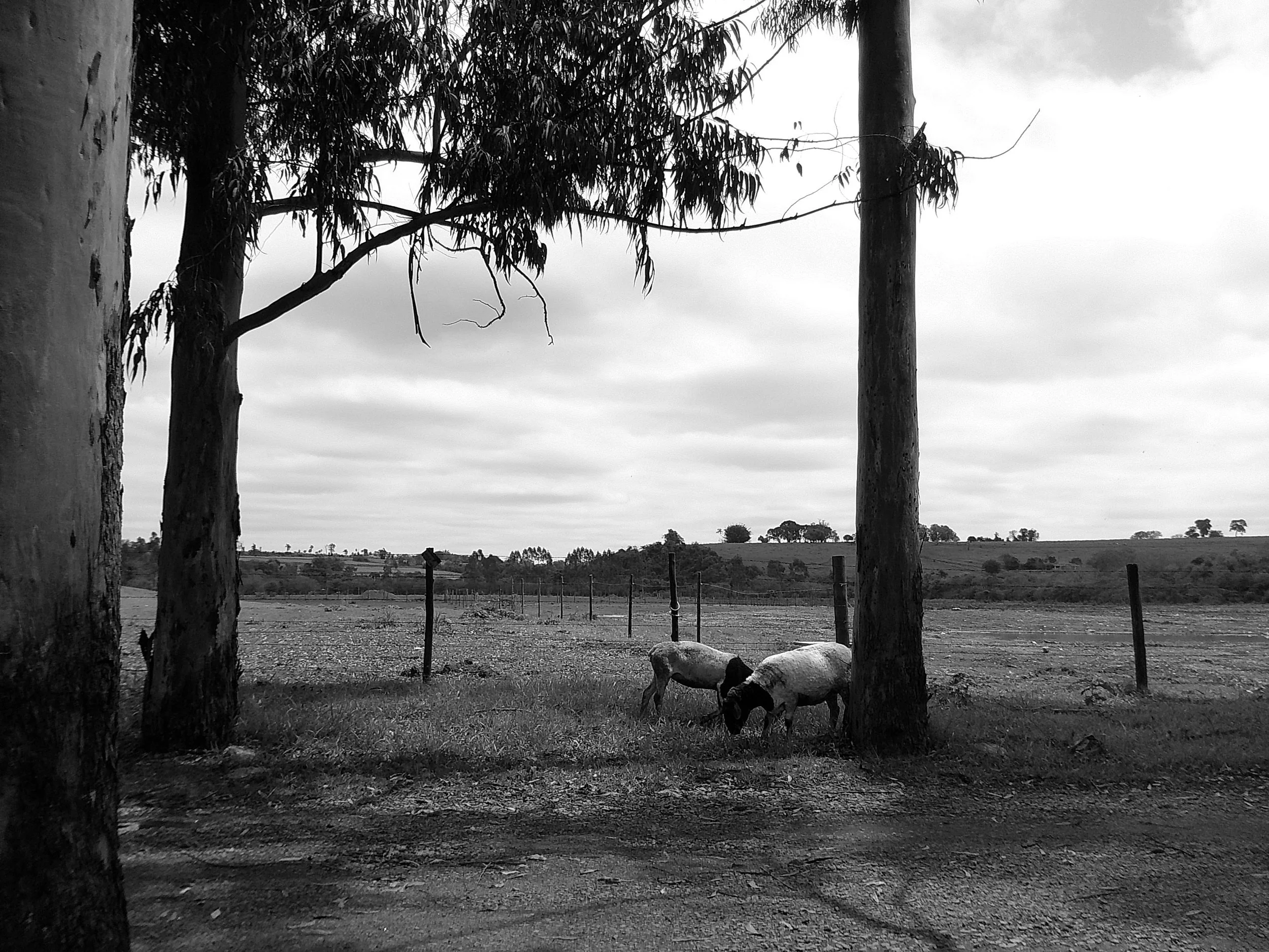 DSCF0382.JPG