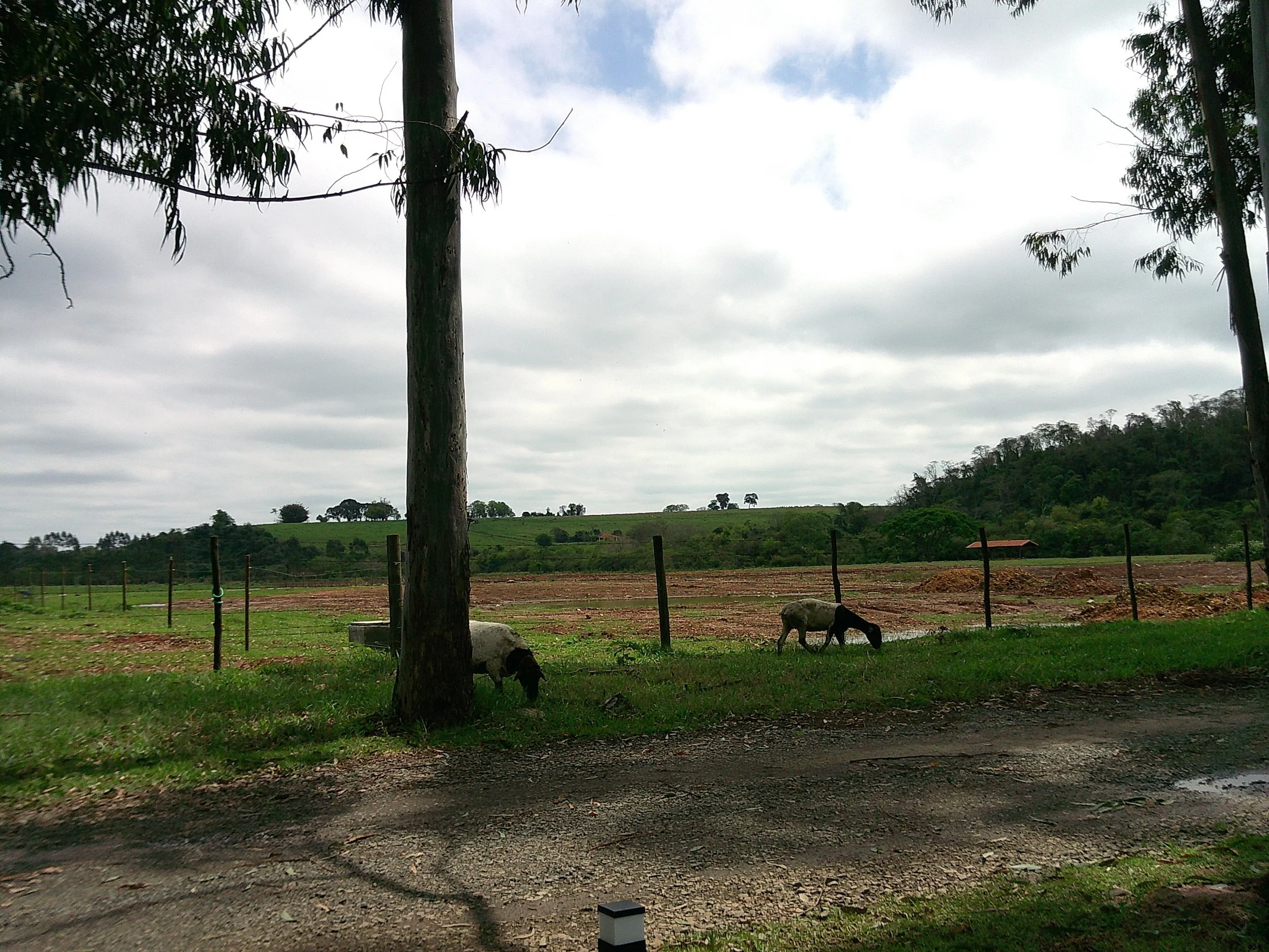 DSCF0383.JPG