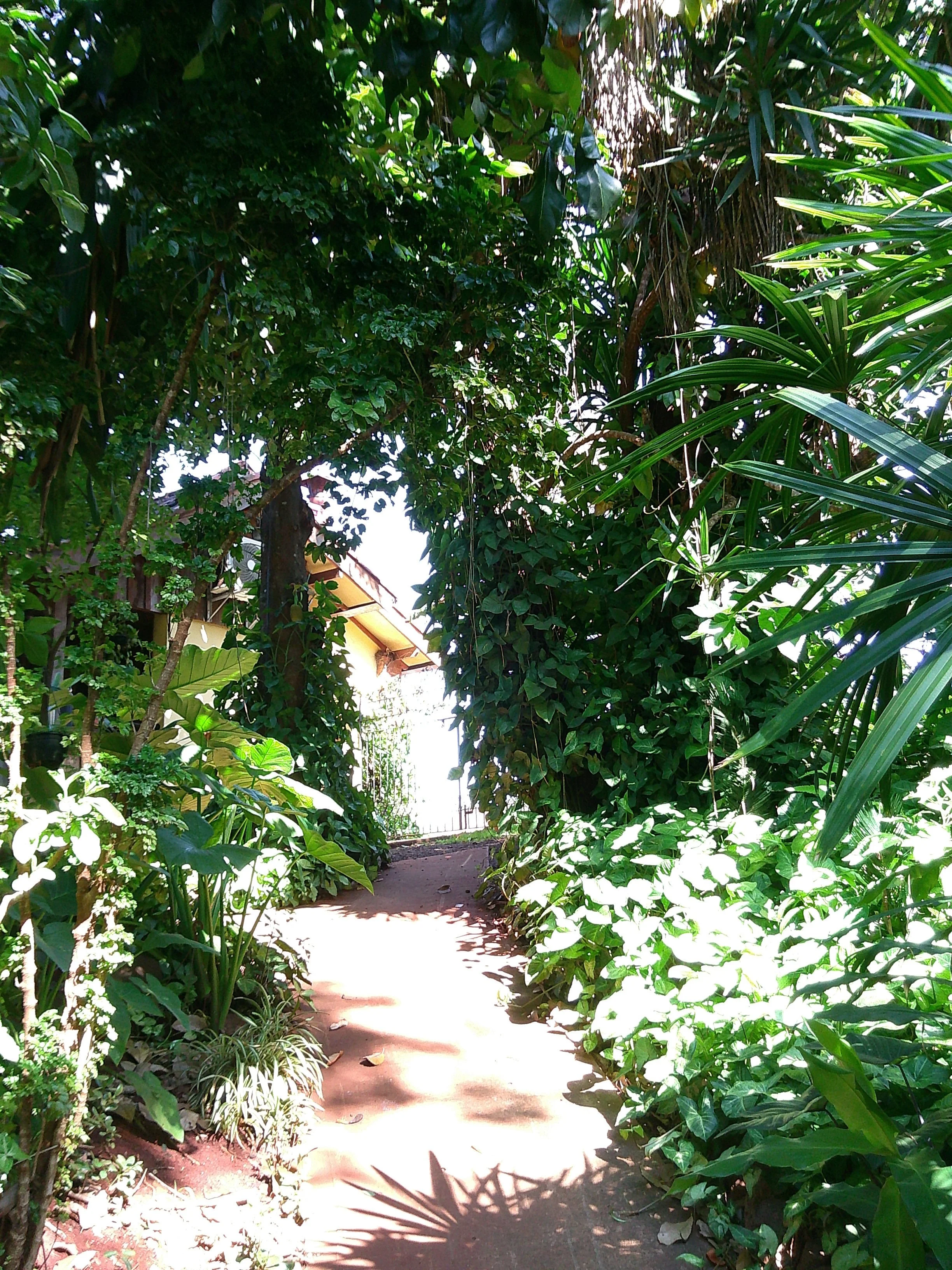 DSCF0430.JPG