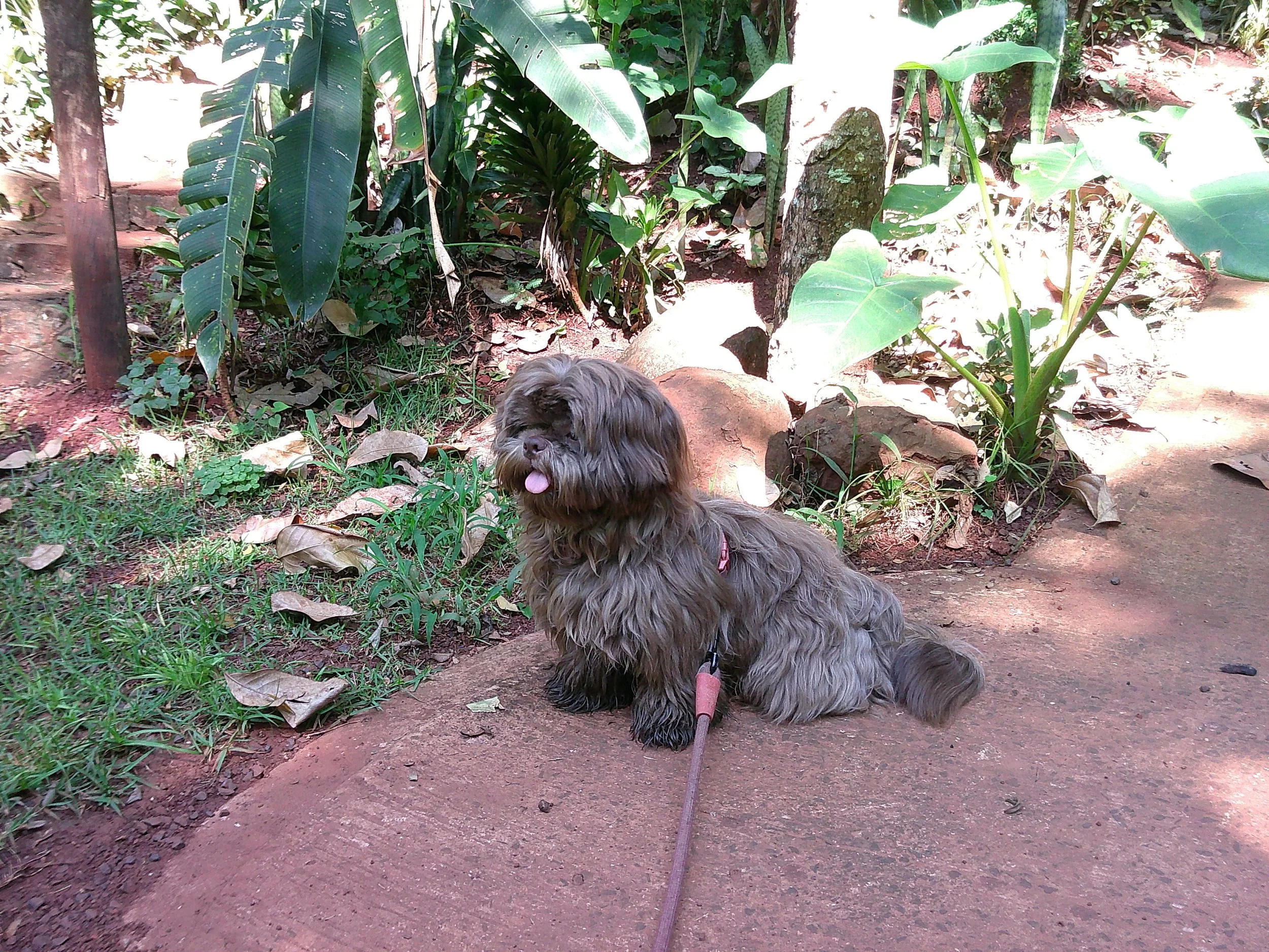 DSCF0433.JPG