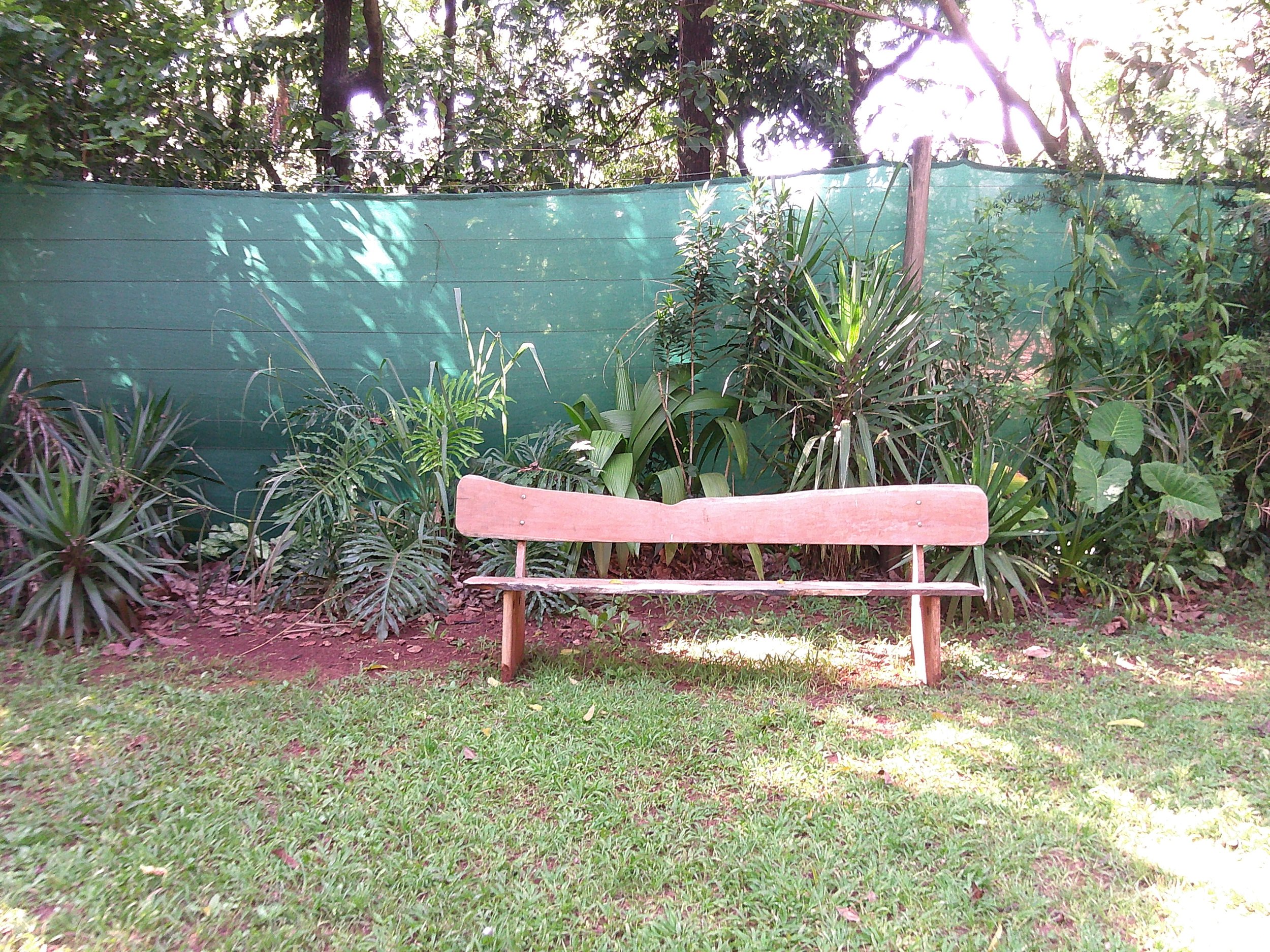 DSCF0435.JPG